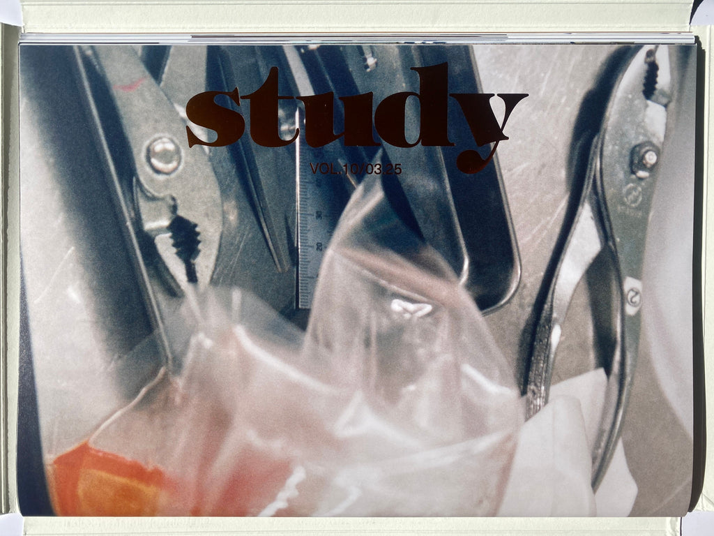 Study Volume 10 - On Reimagining Perfection