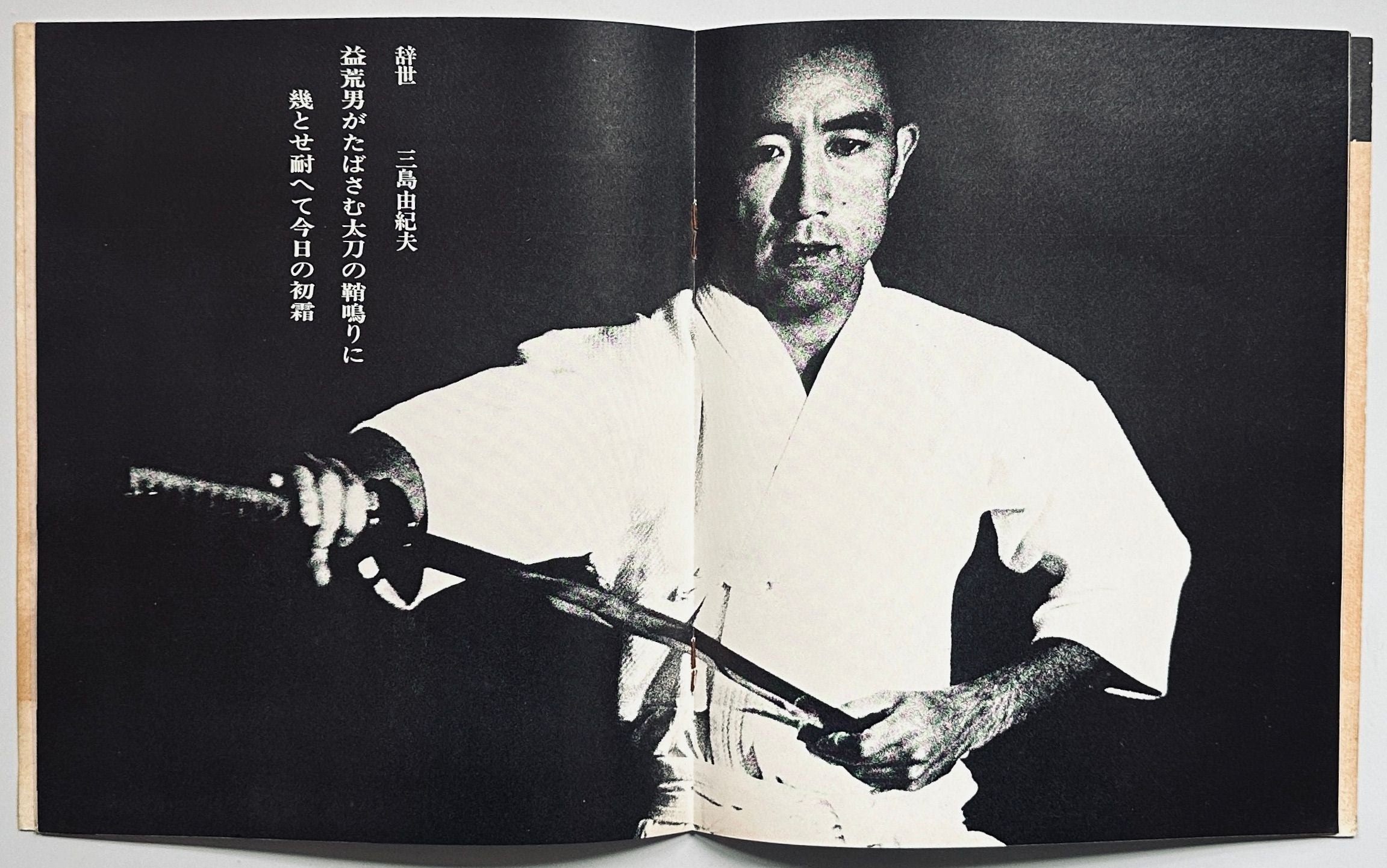 The Death of Yukio Mishima