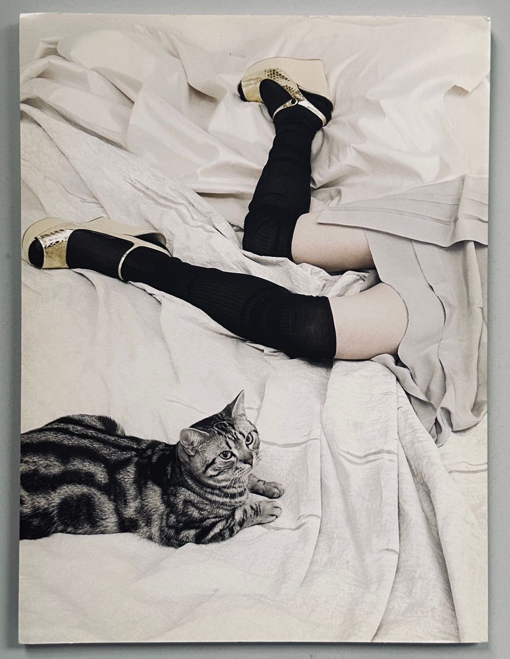 Prada Spring/Summer 2006 Steven Meisel Set
