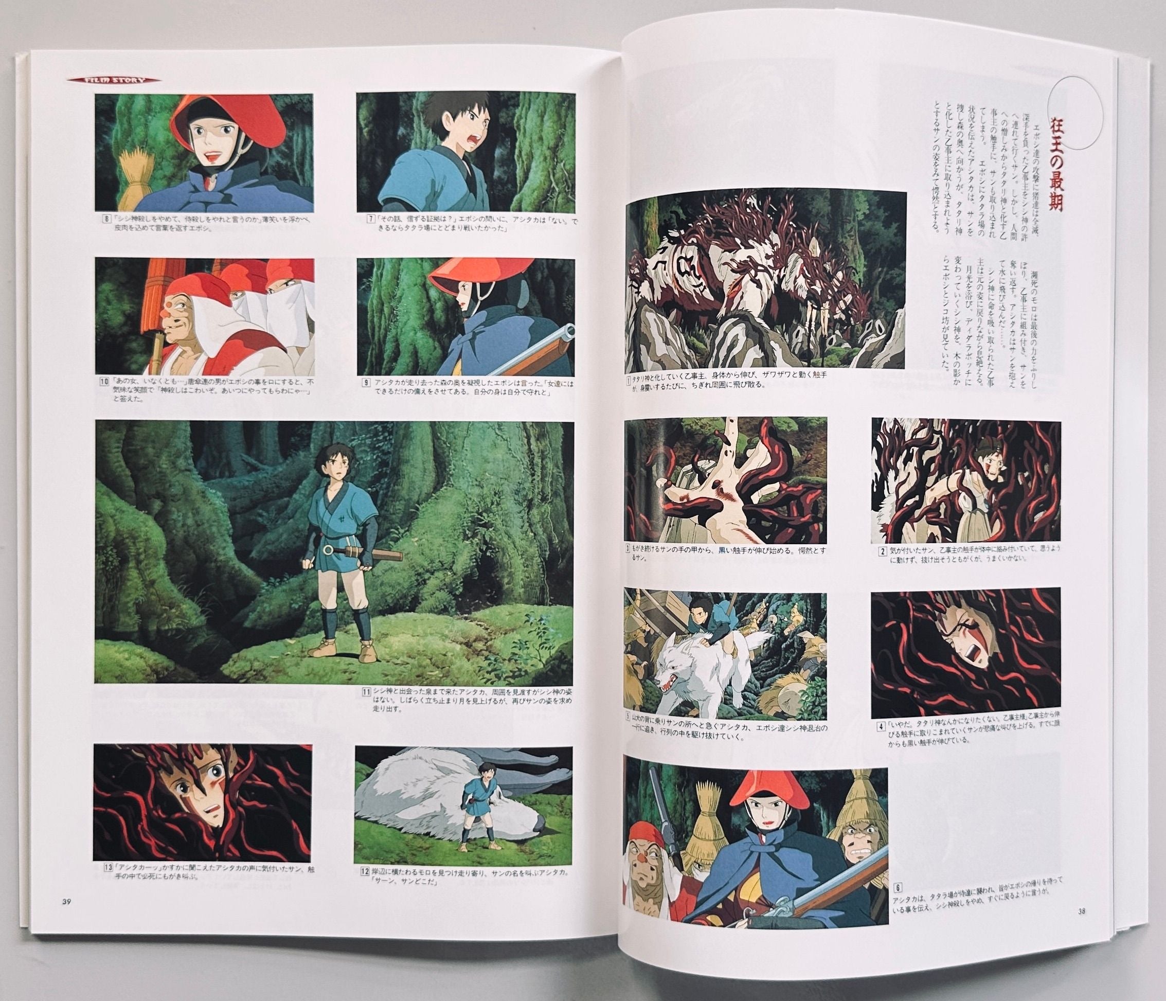 Princess Mononoke Roman Album