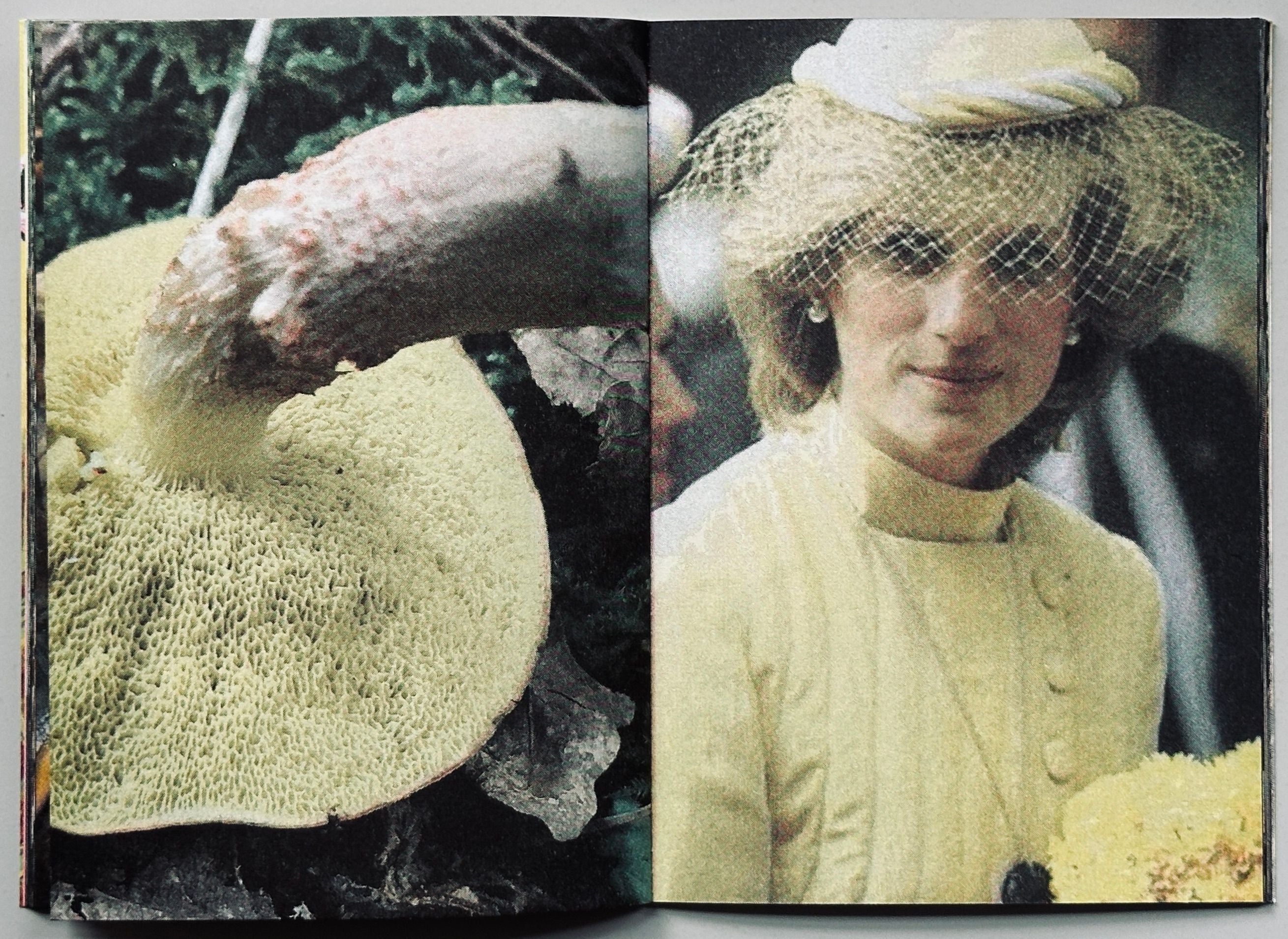 Princess Diana as Mushrooms