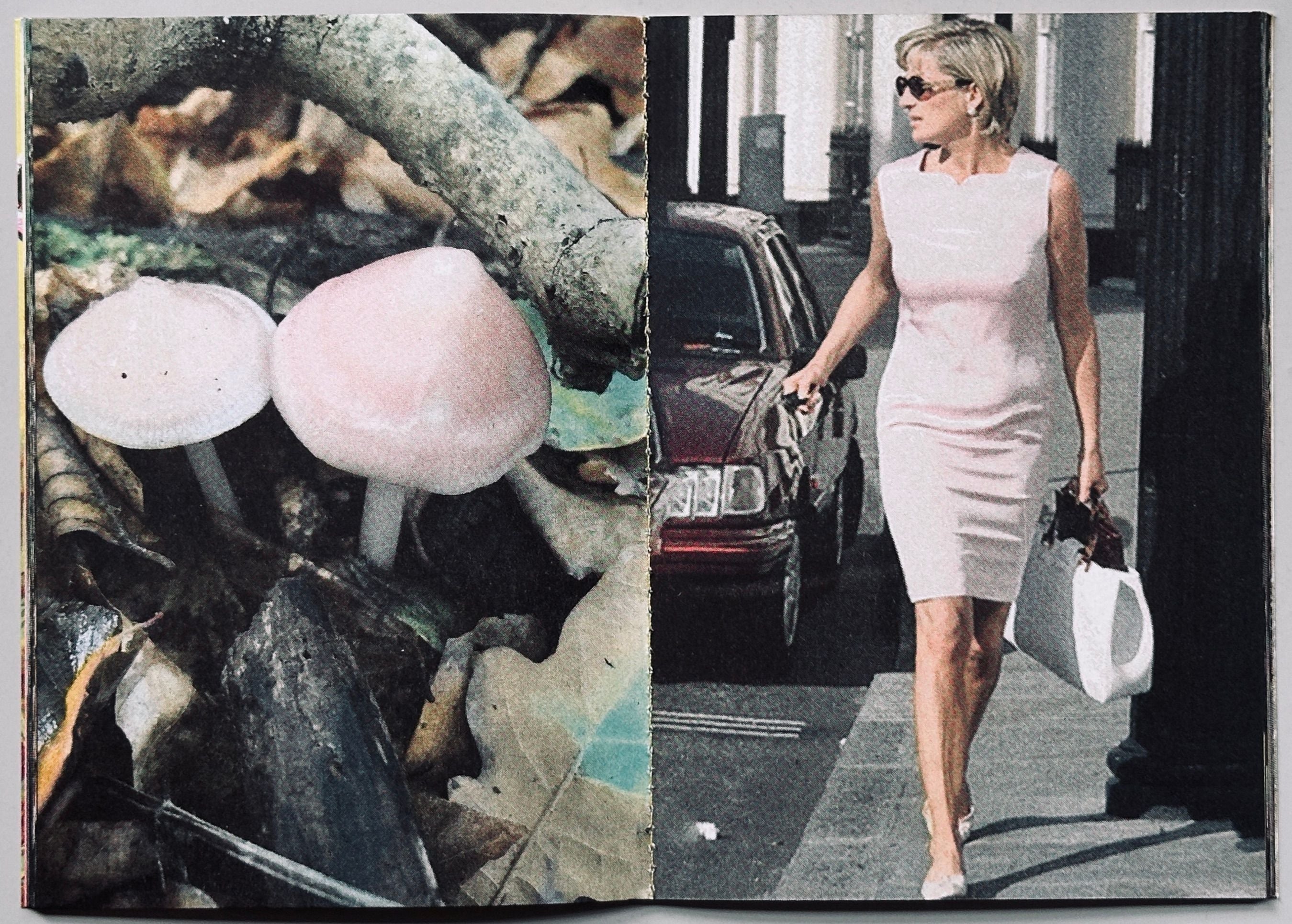 Princess Diana as Mushrooms