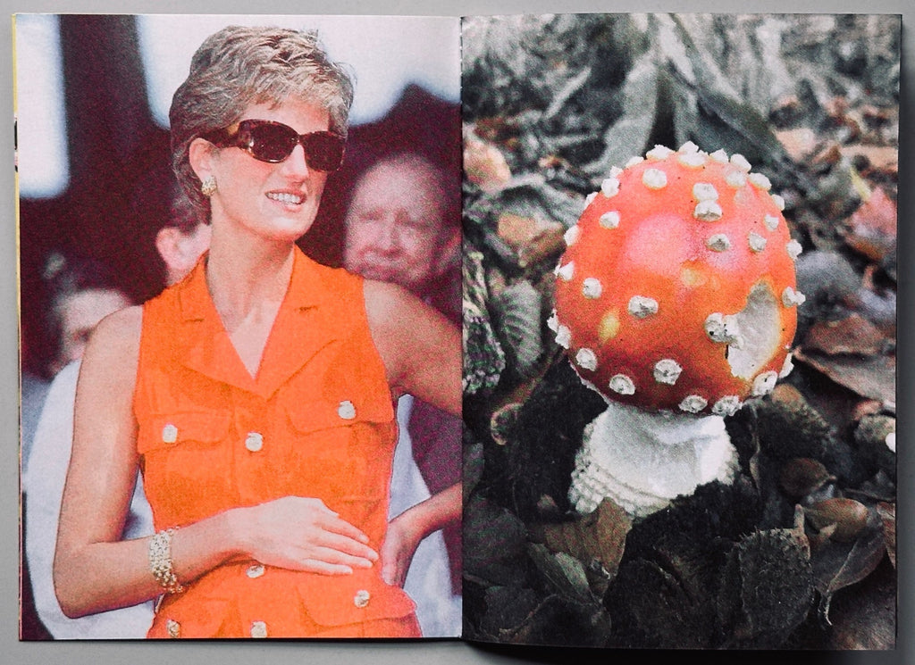Princess Diana as Mushrooms