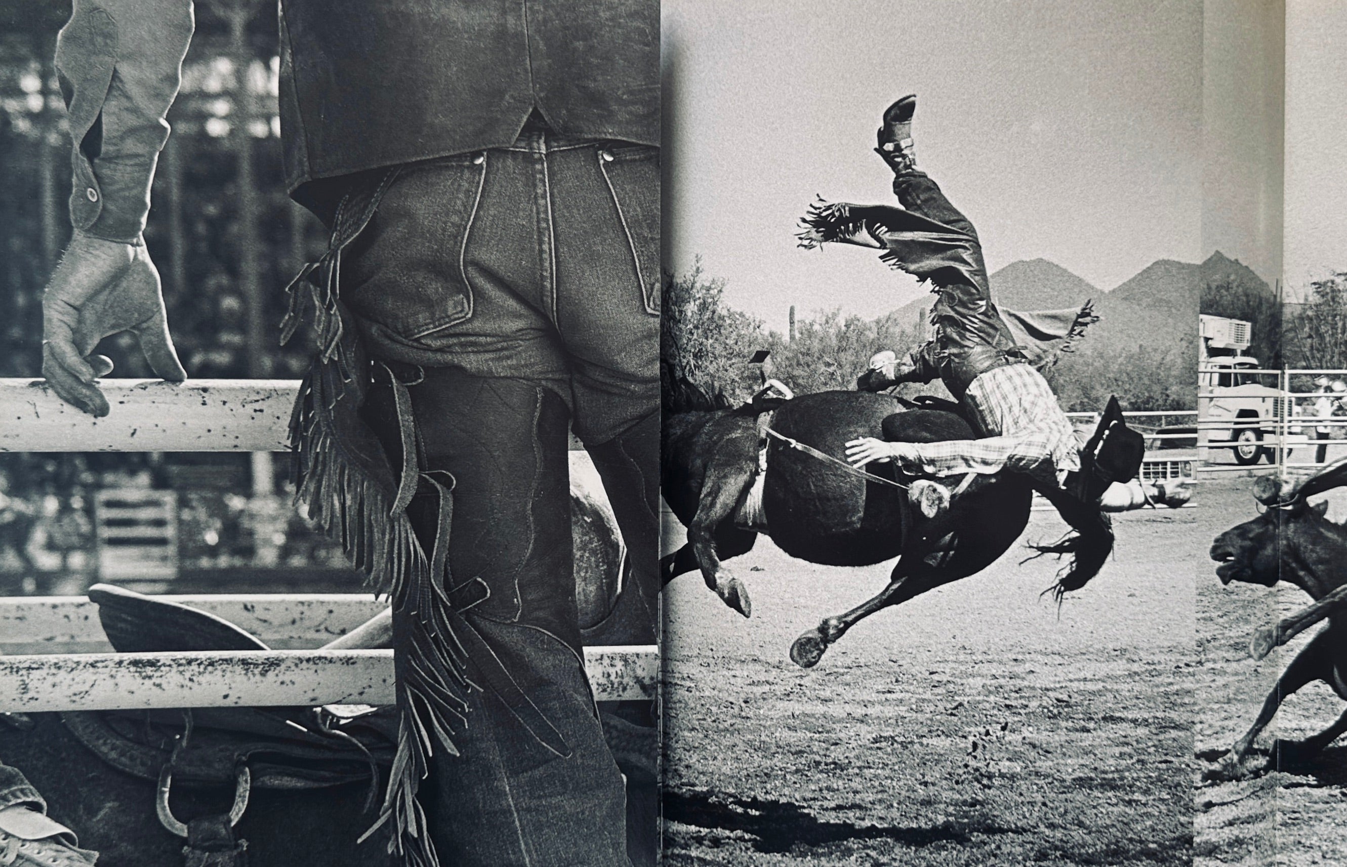 Rodeo