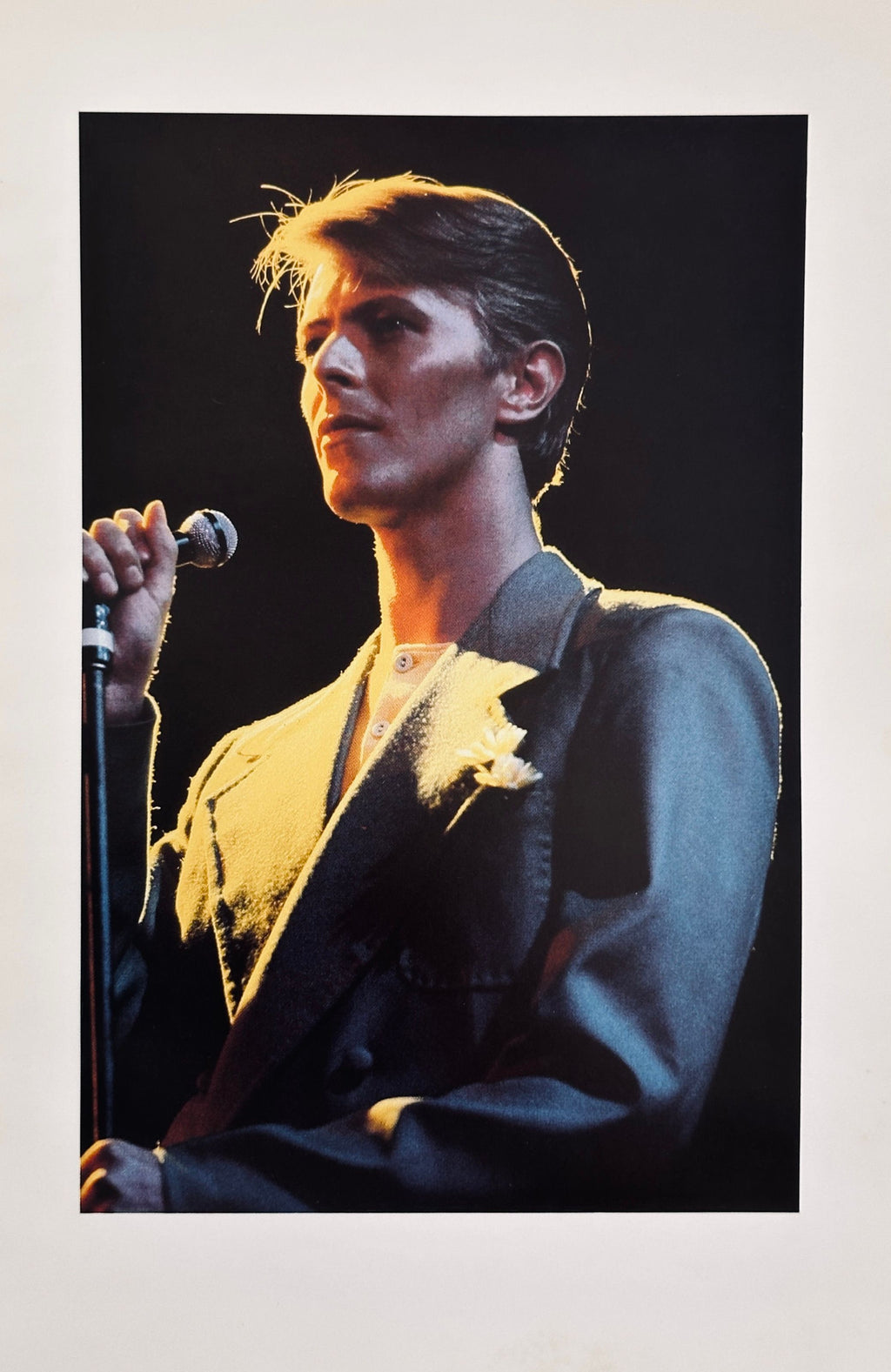 David Bowie Stage Anthology