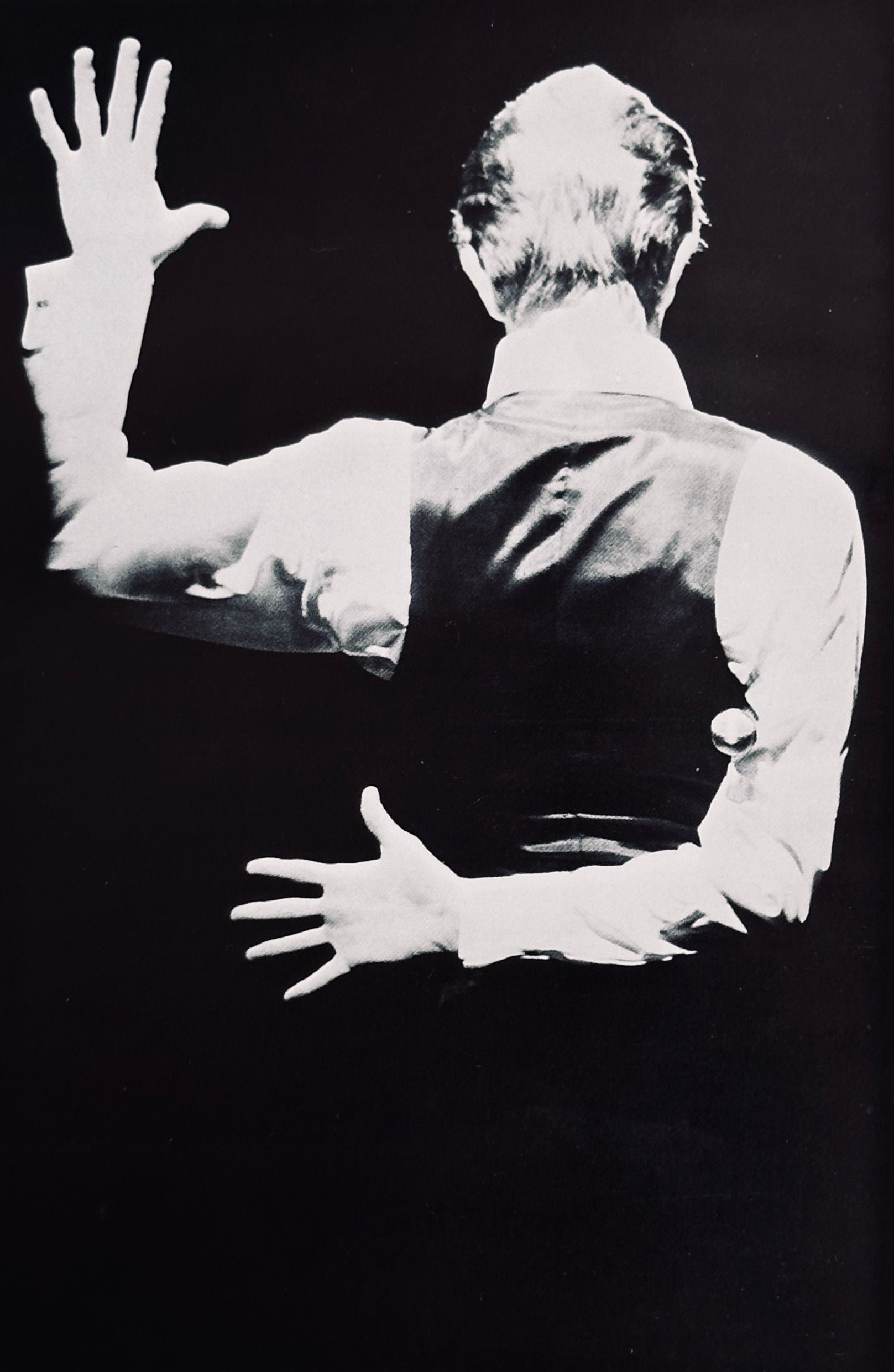 David Bowie Stage Anthology
