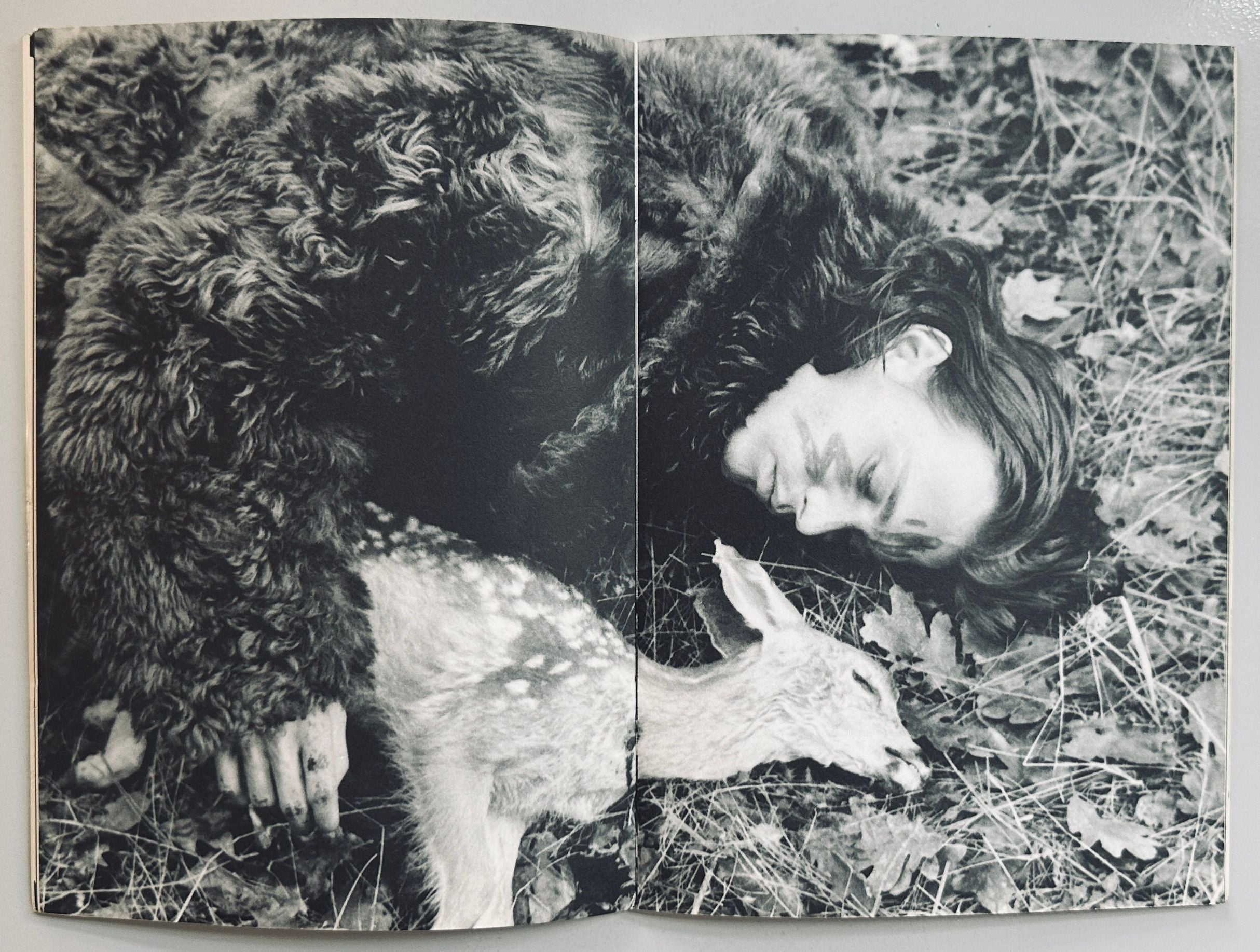 Dead Man Japanese Cinema Programme