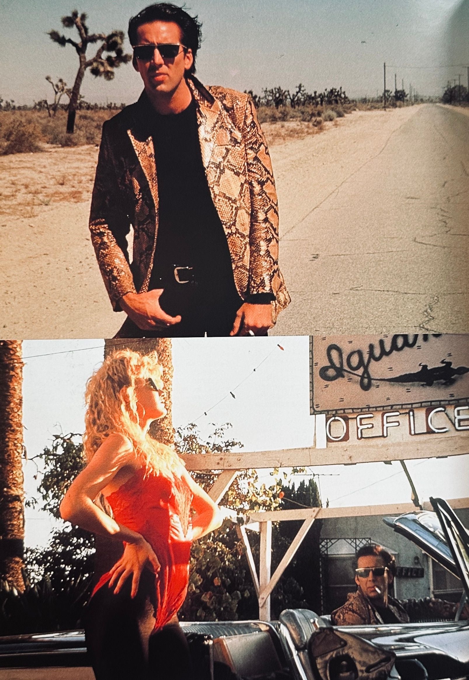 Wild At Heart Japanese Cinema Programme