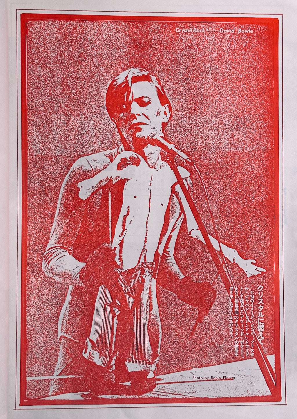 David Bowie Scrapbook Bowie-Mania