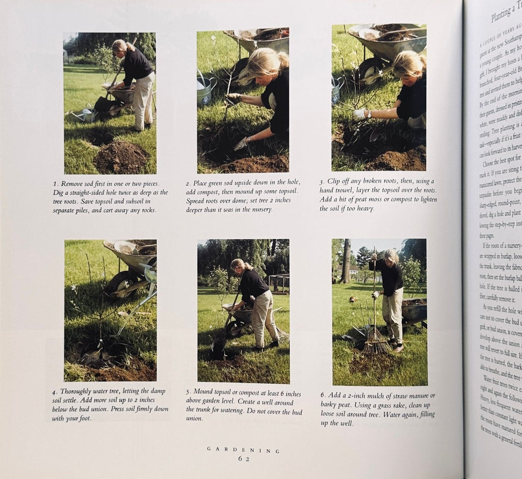 Martha Stewart's Gardening