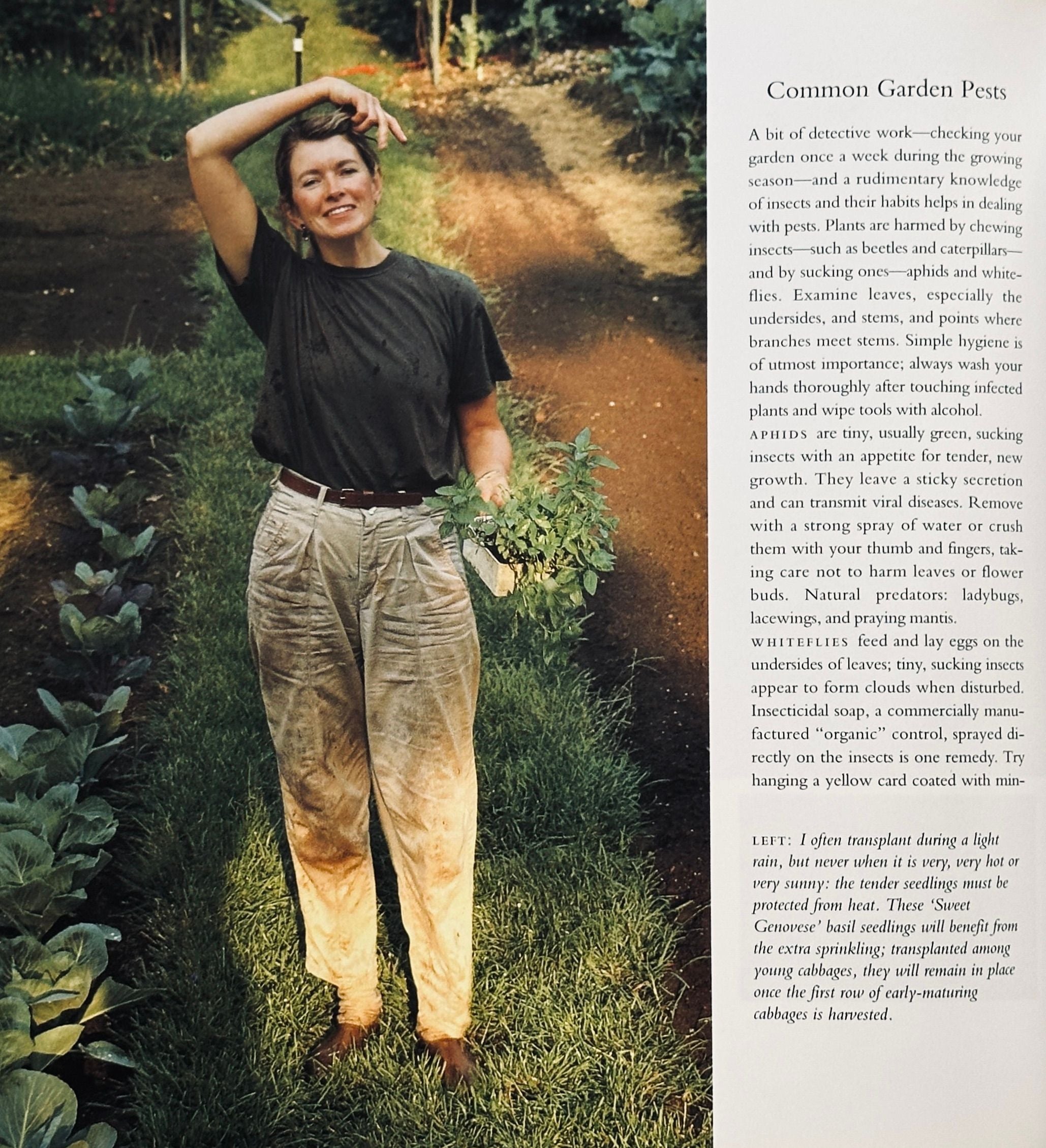 Martha Stewart's Gardening