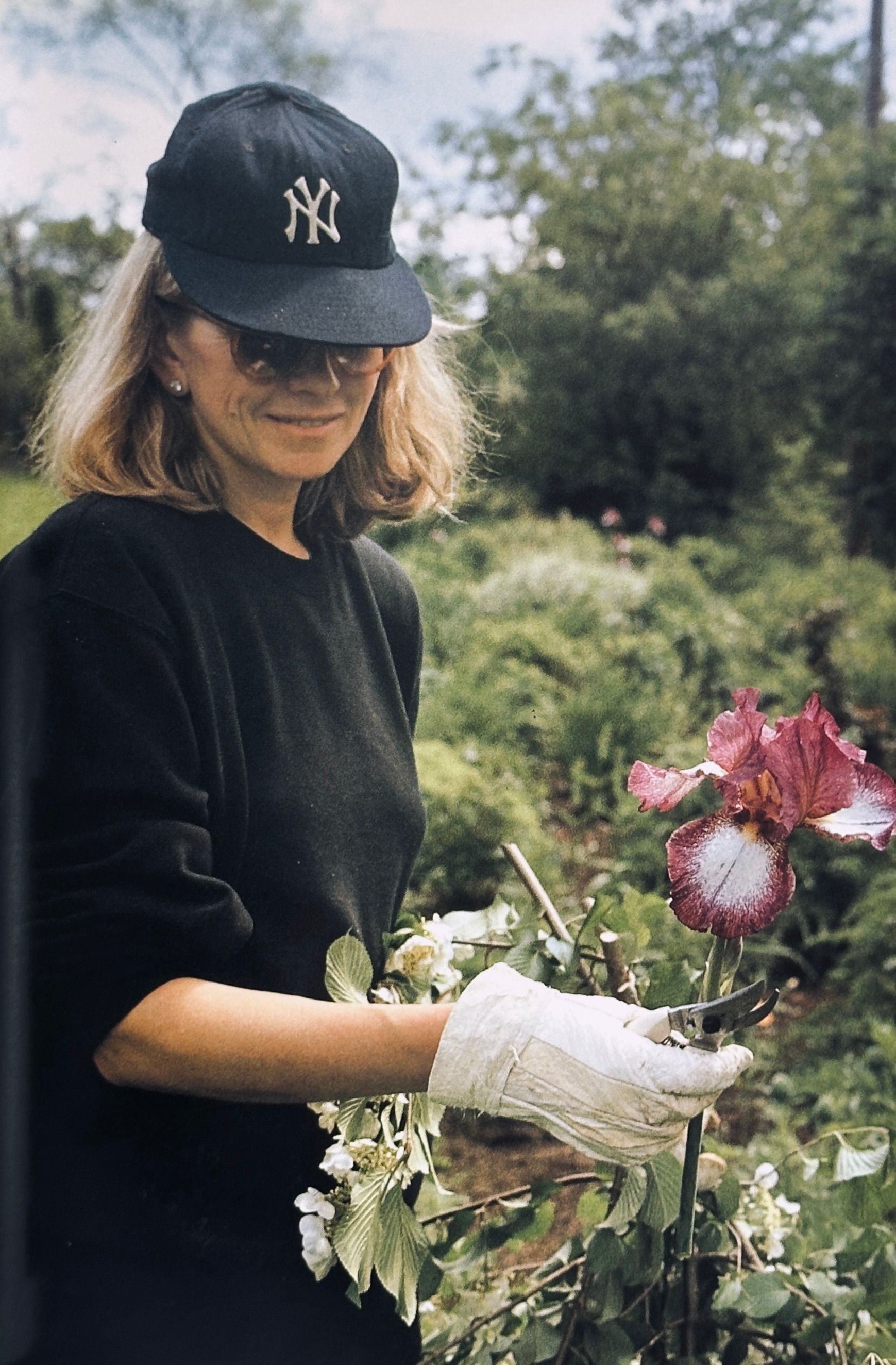 Martha Stewart's Gardening