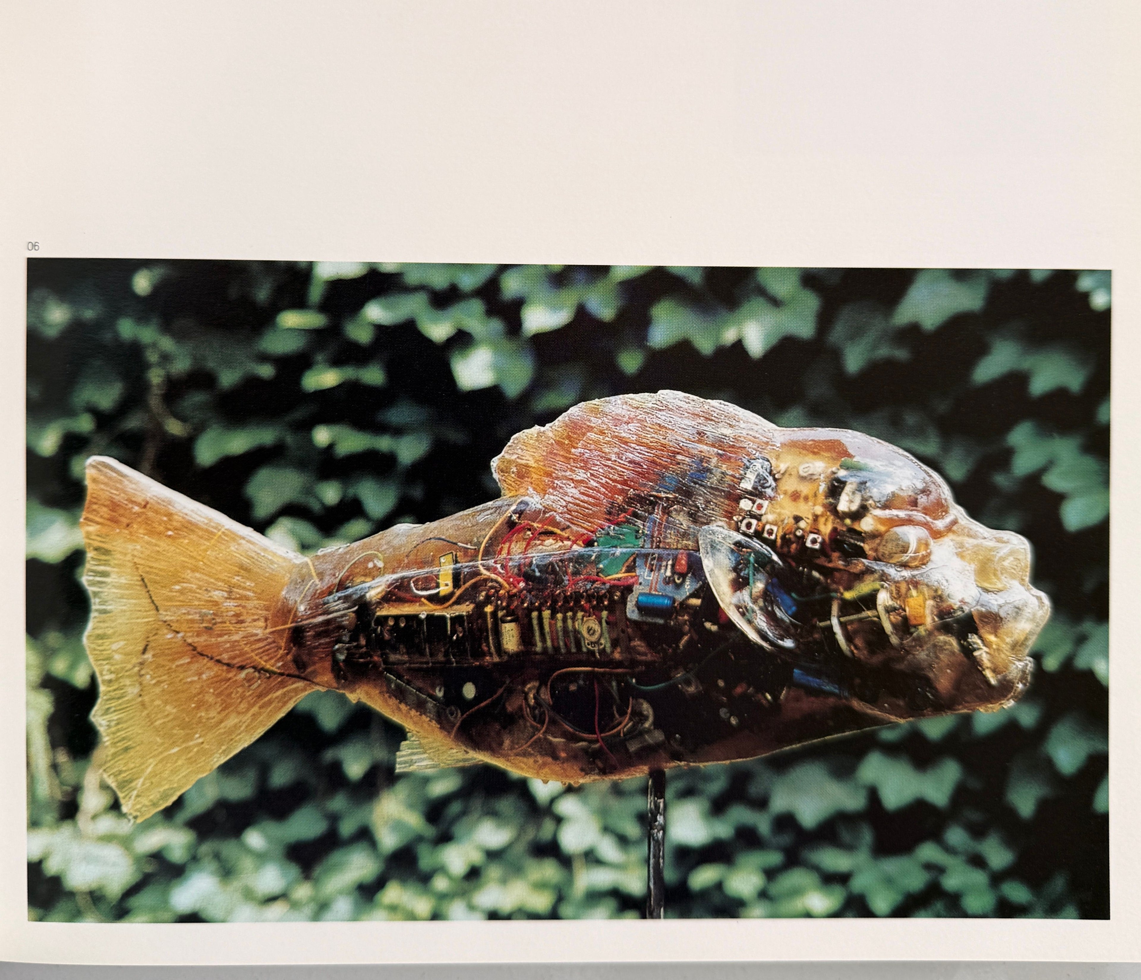 Fuck Off Ai Weiwei