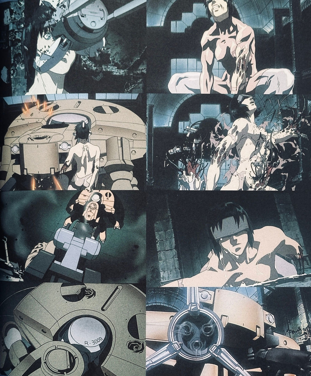The Analysis of Ghost in the Shell