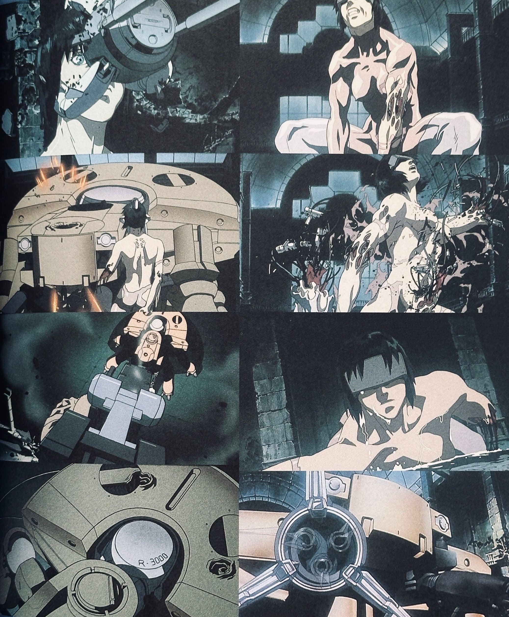 The Analysis of Ghost in the Shell