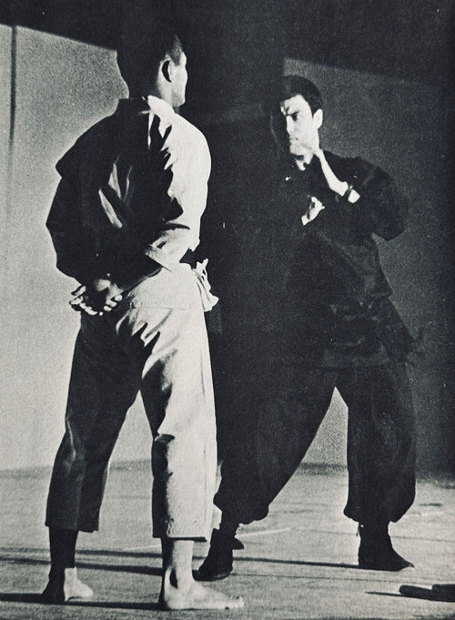 A Jeet Kune Do Guidebook Vol 1 & 2