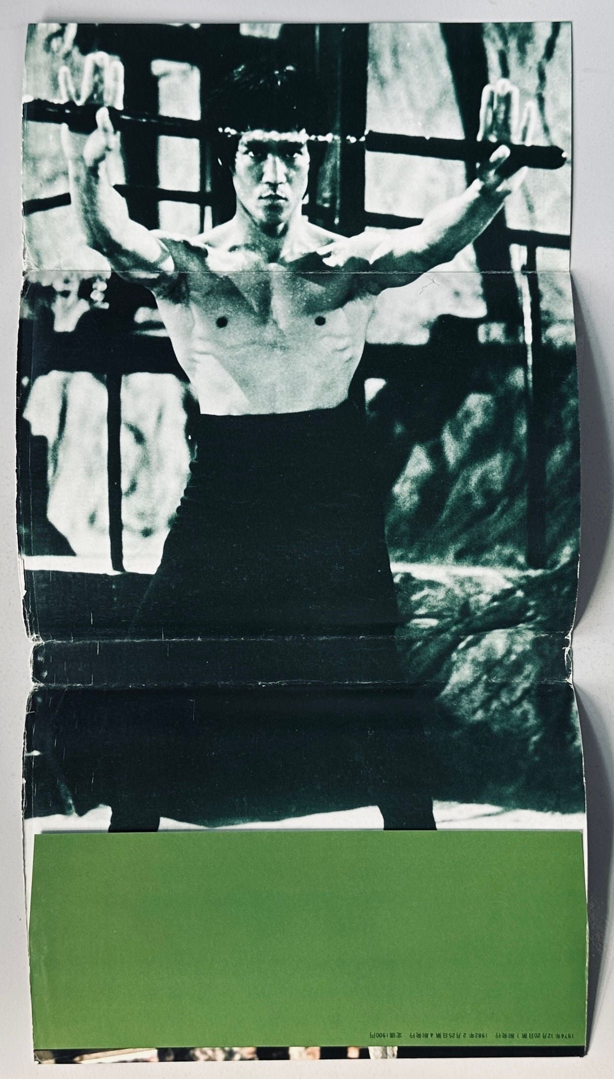 Bruce Lee Icon Book