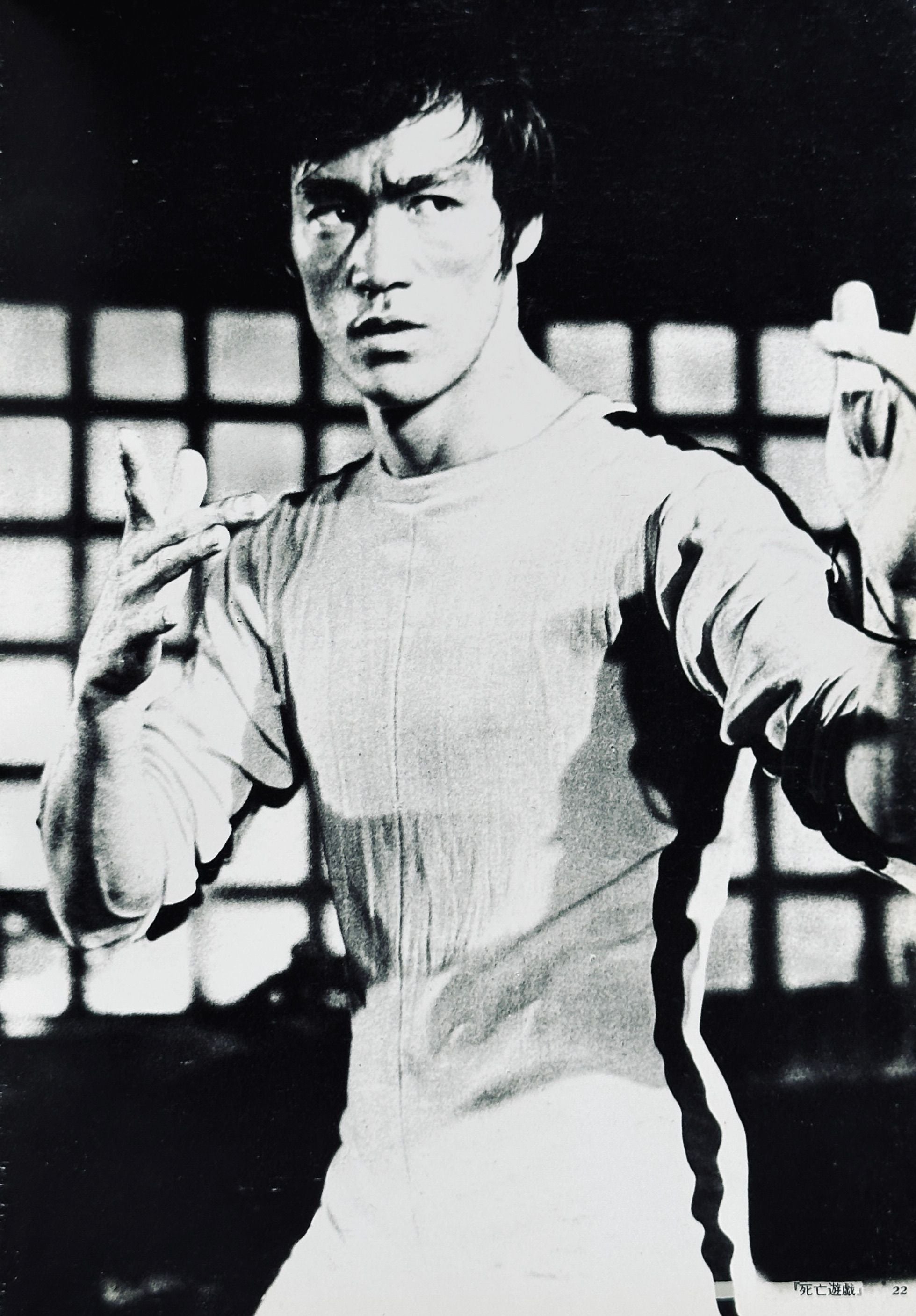 Bruce Lee Icon Book