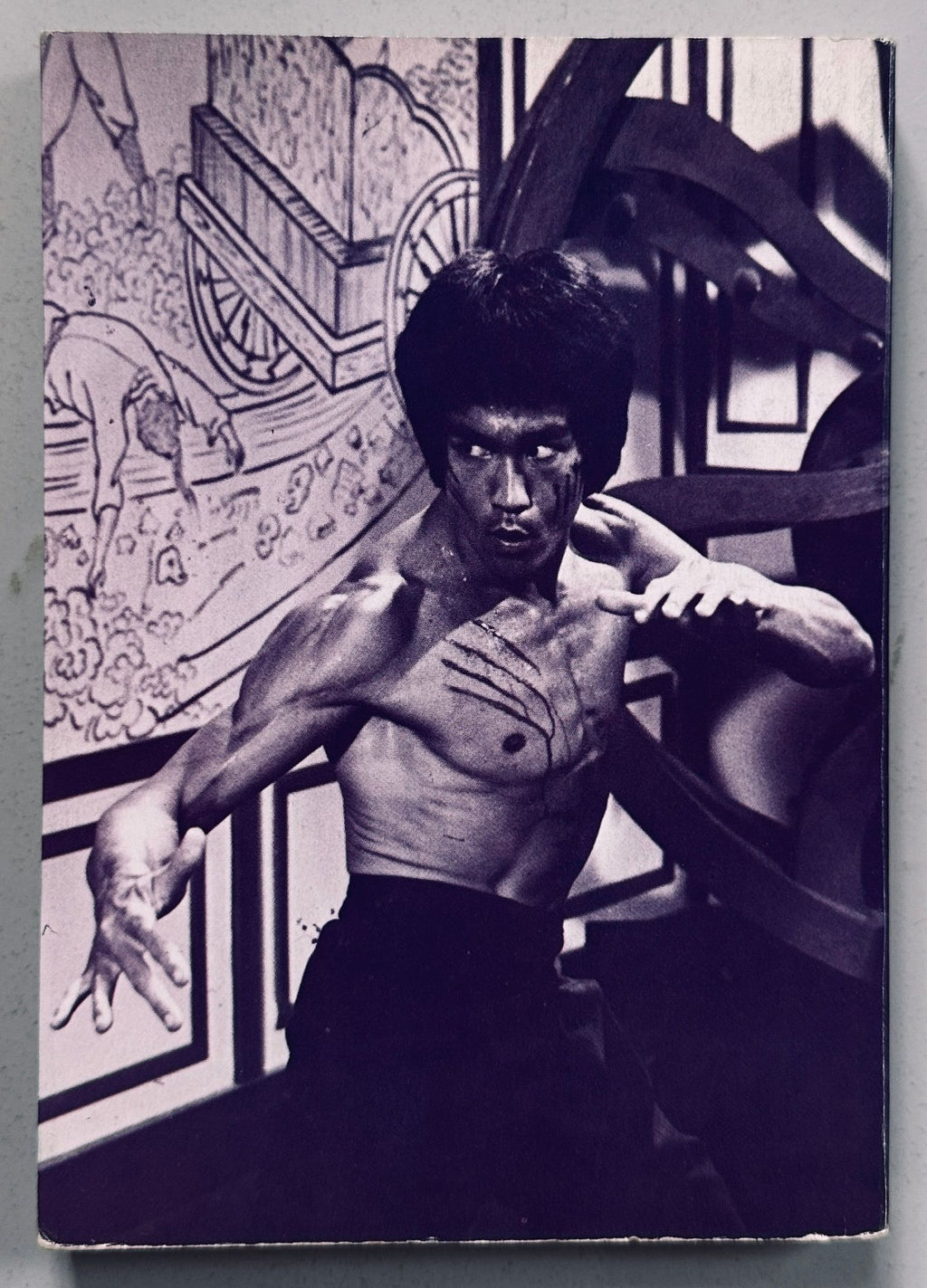 Bruce Lee Icon Book