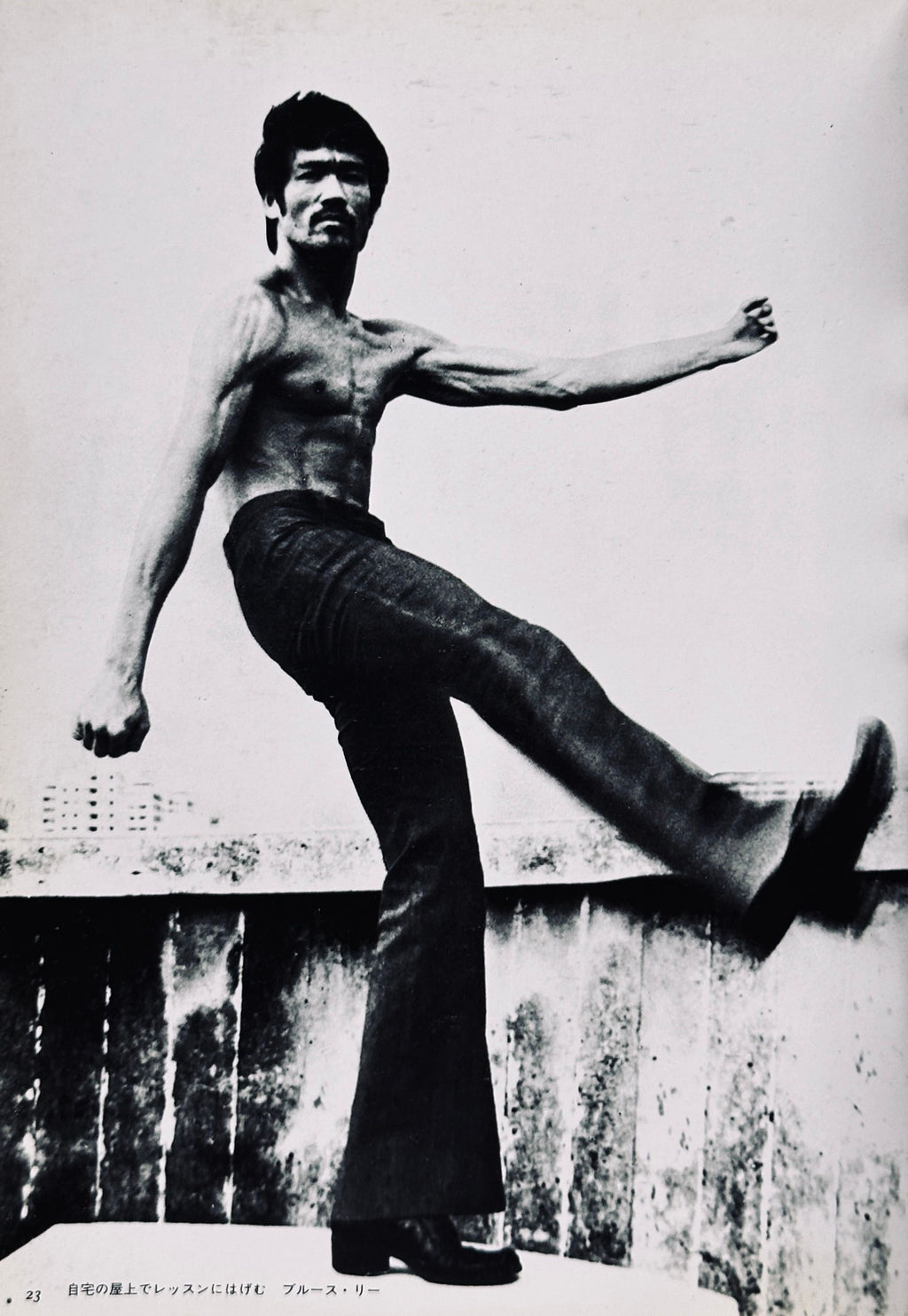 Bruce Lee Icon Book
