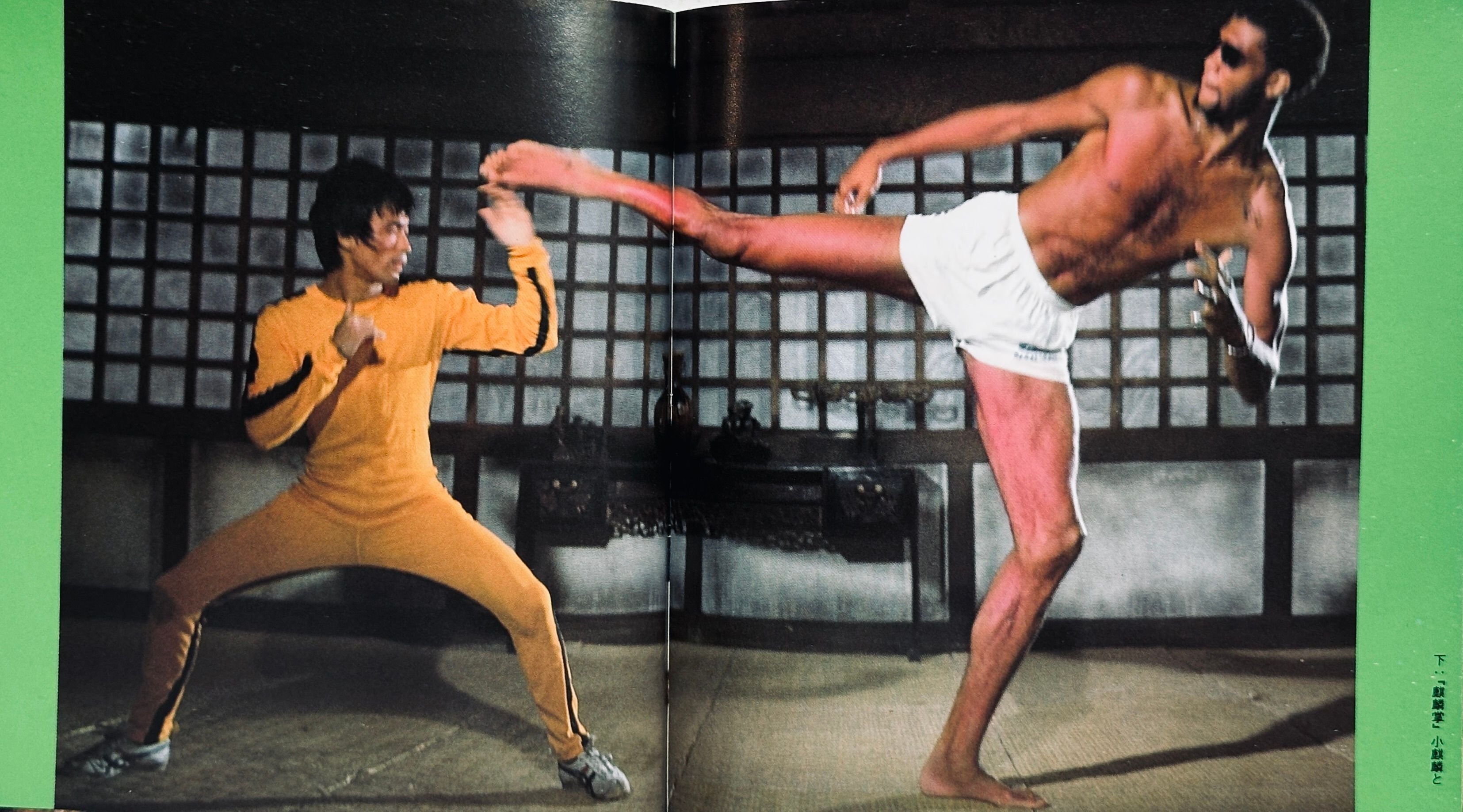 Bruce Lee Icon Book