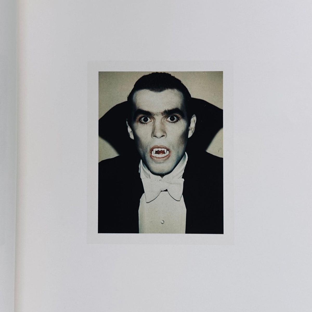 Andy Warhol Polaroids 1971-1986
