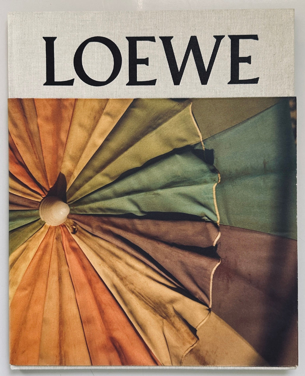 Loewe Fall/Winter 2015