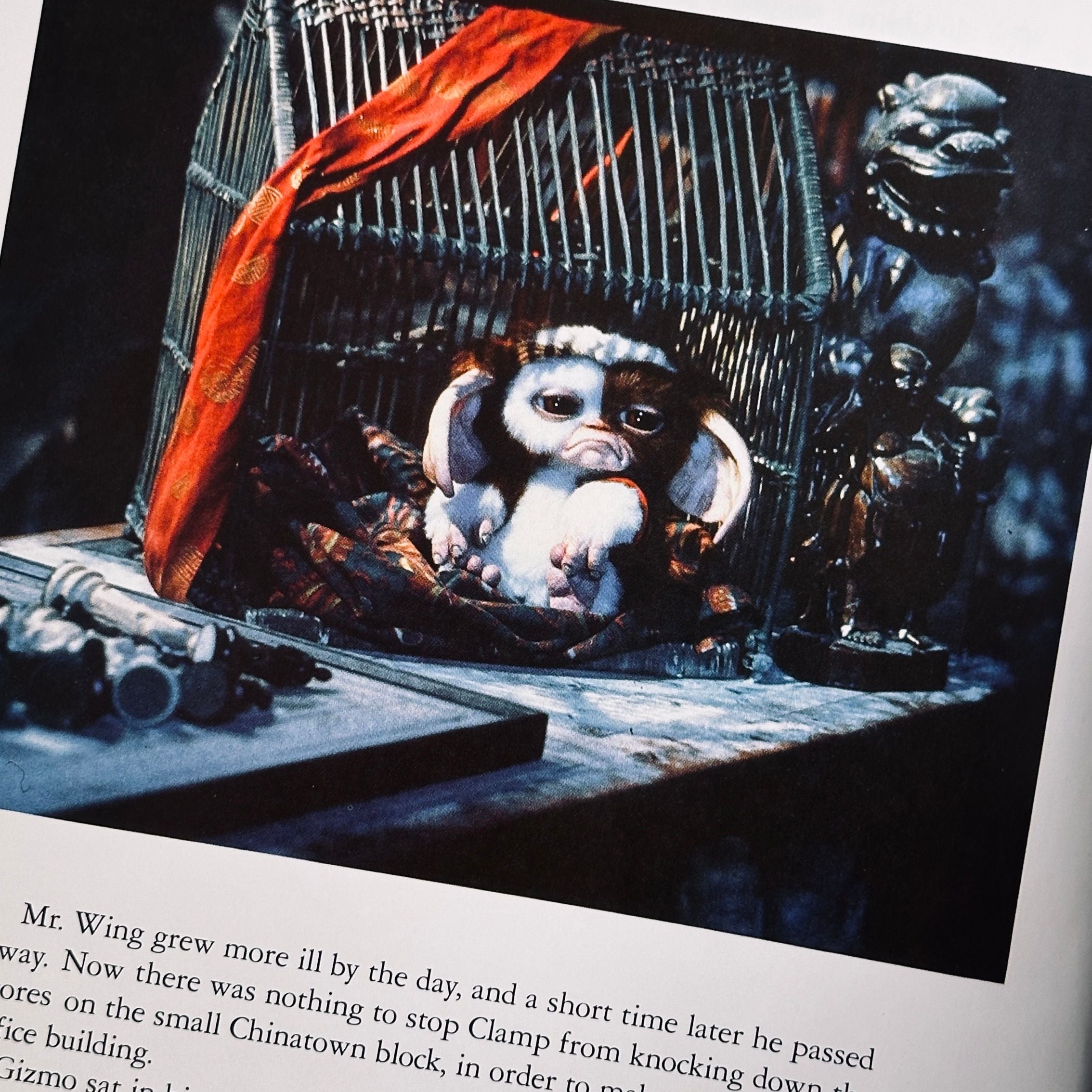 Gremlins The Story Book Set