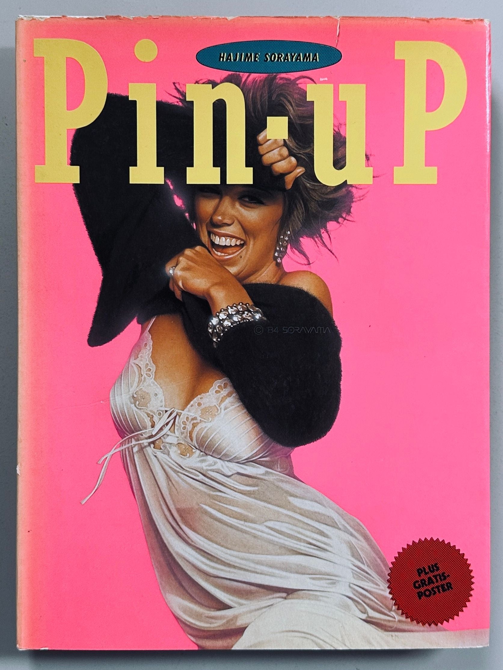 Pin Up Hajime Sorayama