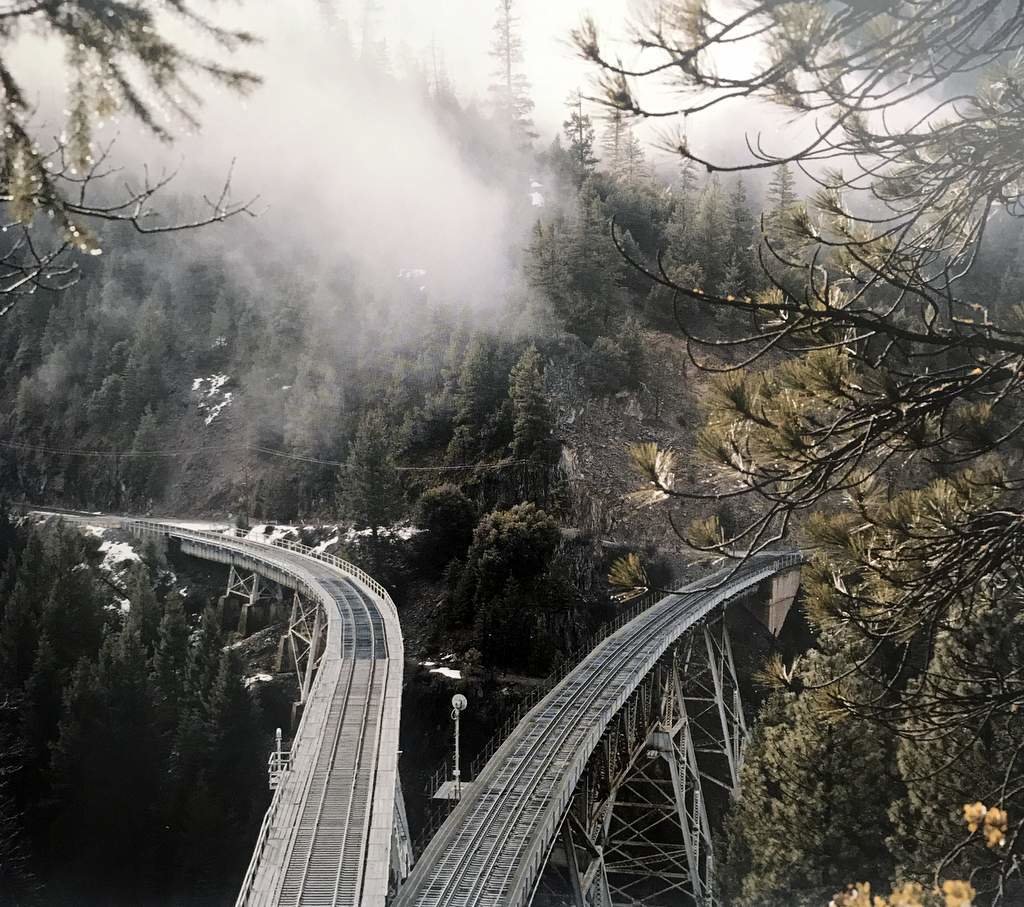[SIGNED] JUSTINE KURLAND