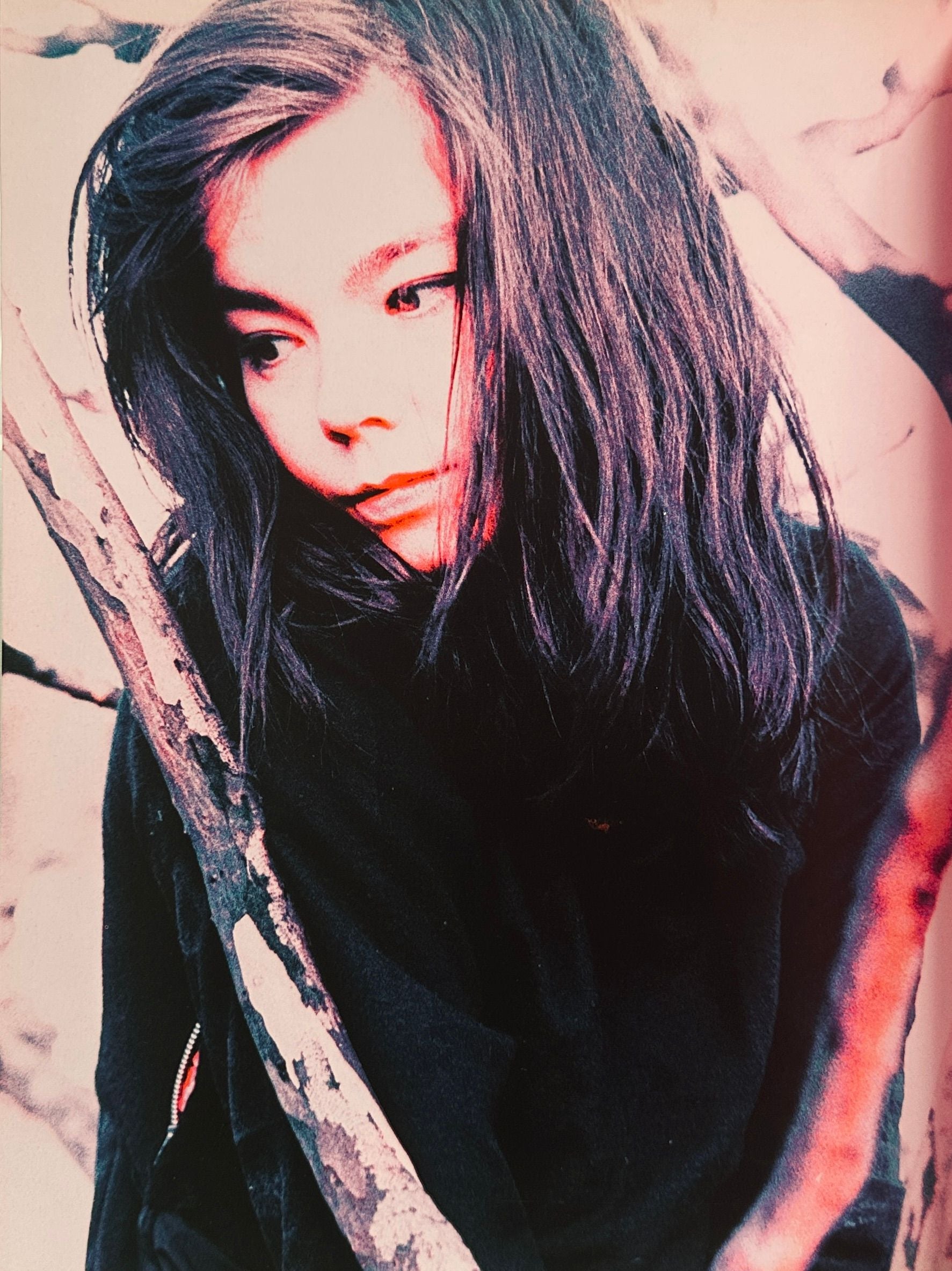 Bjork Post Tour Programme 1995