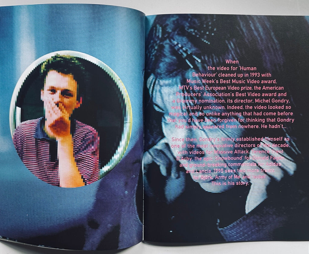 Bjork Post Tour Programme 1995