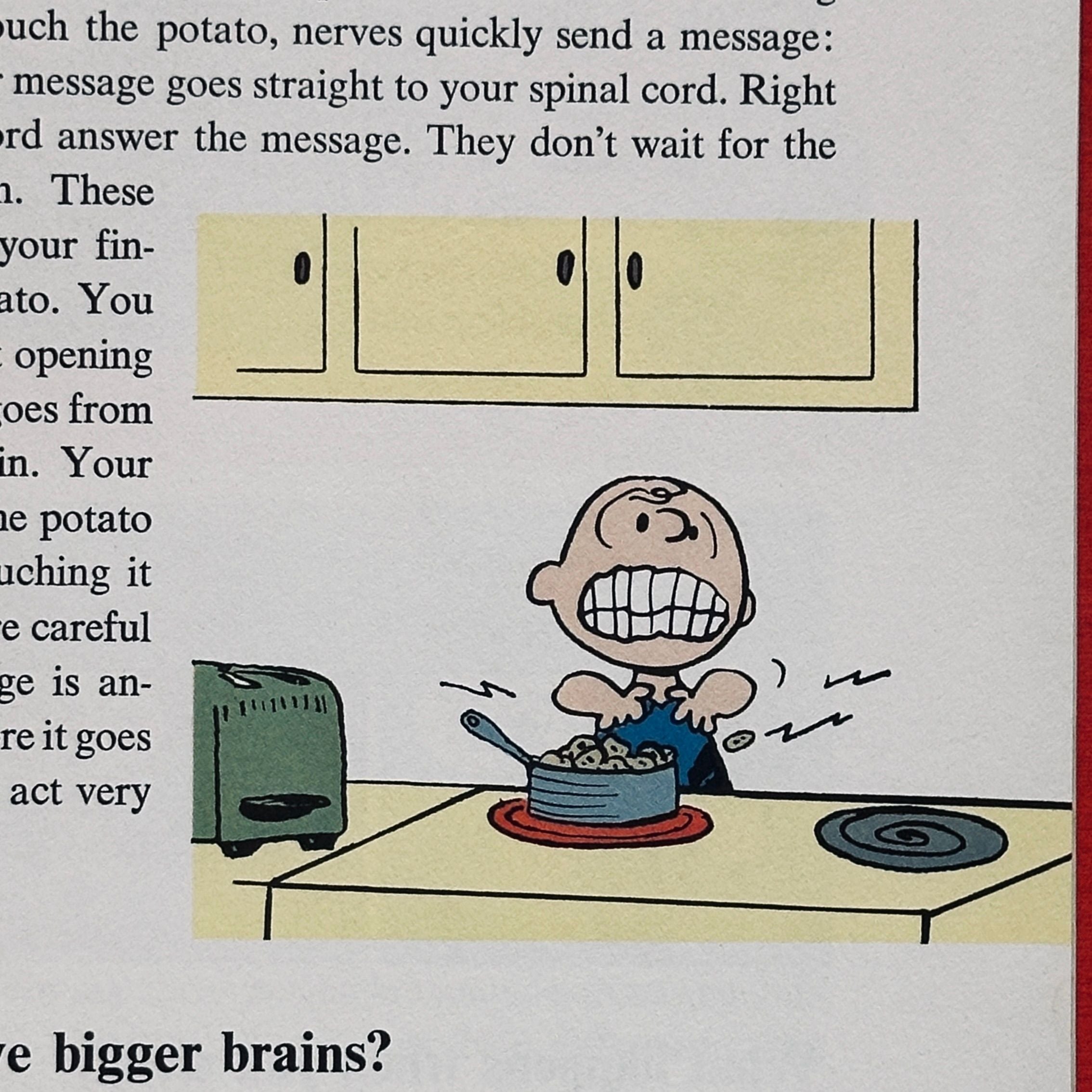 Charlie Brown's 'Cyclopedia