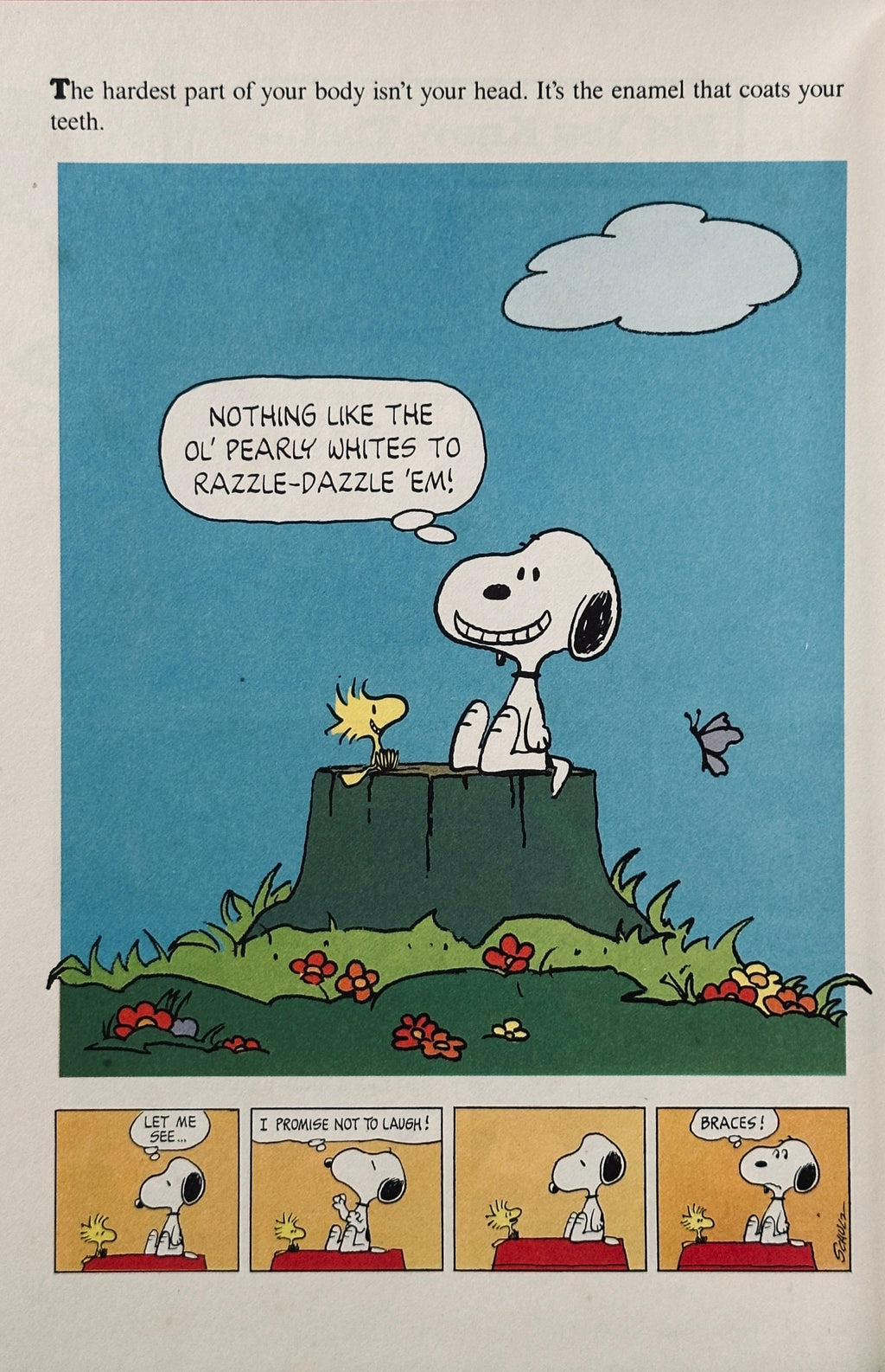Charlie Brown's 'Cyclopedia