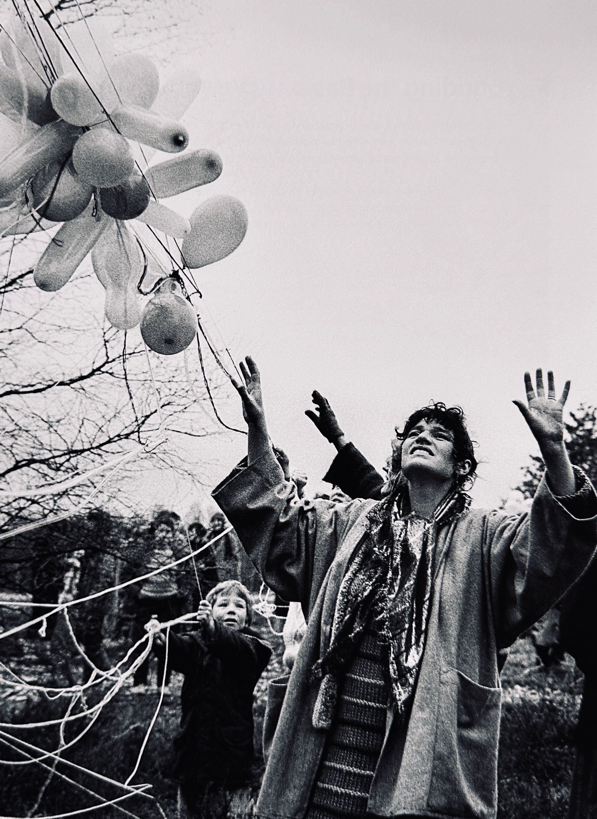 Life At The Fence