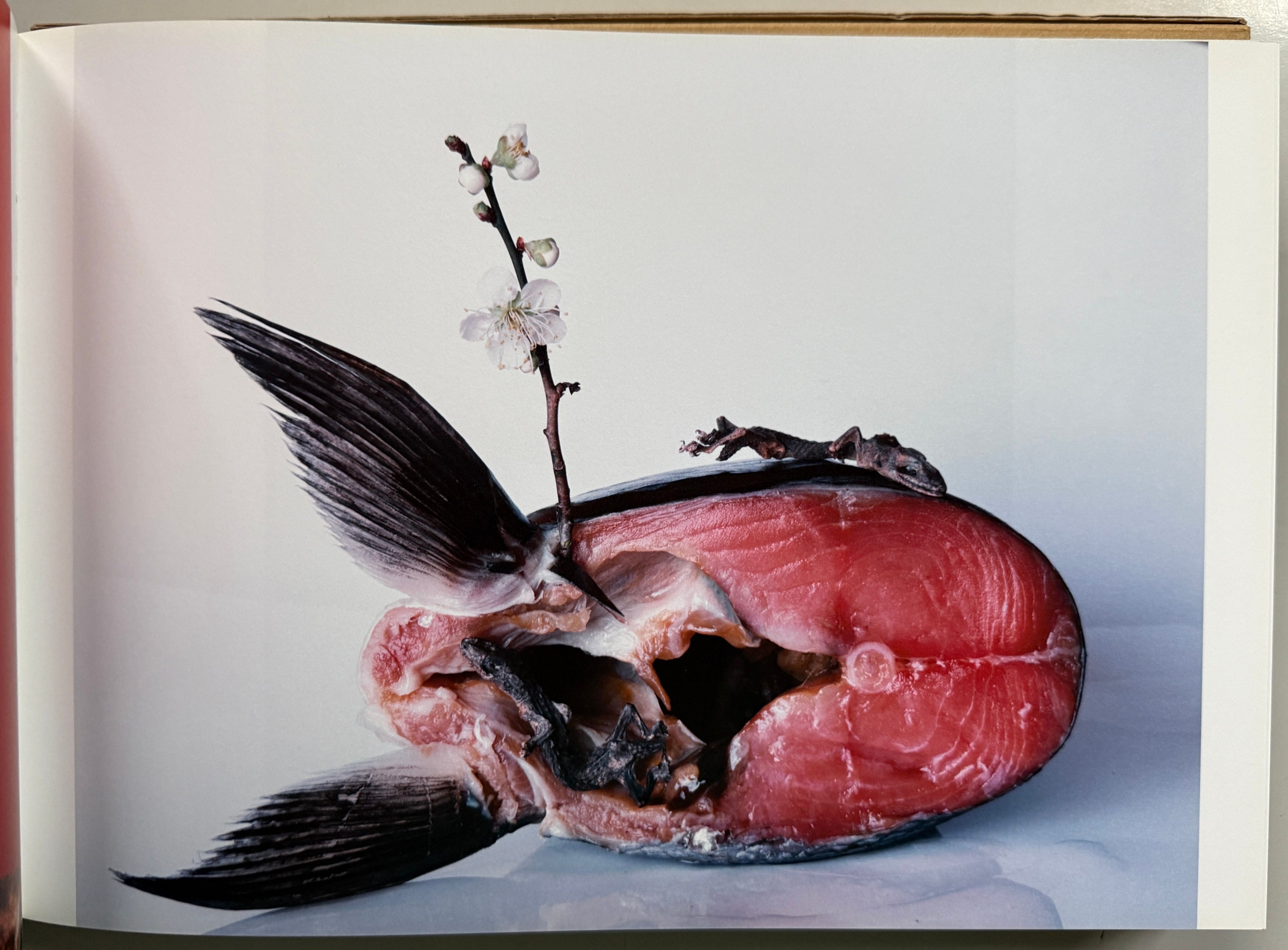 [SIGNED] ARAKI FLOWER-LIFE
