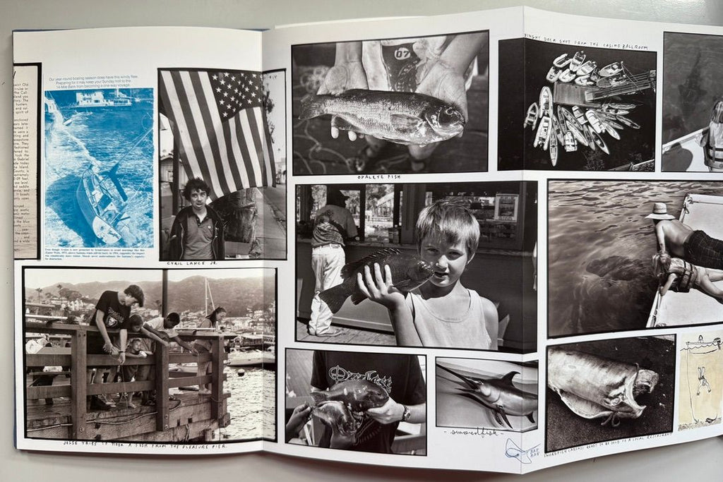[SIGNED] ED TEMPLETON ADVENTURES IN THE NEARBY FAR AWAY
