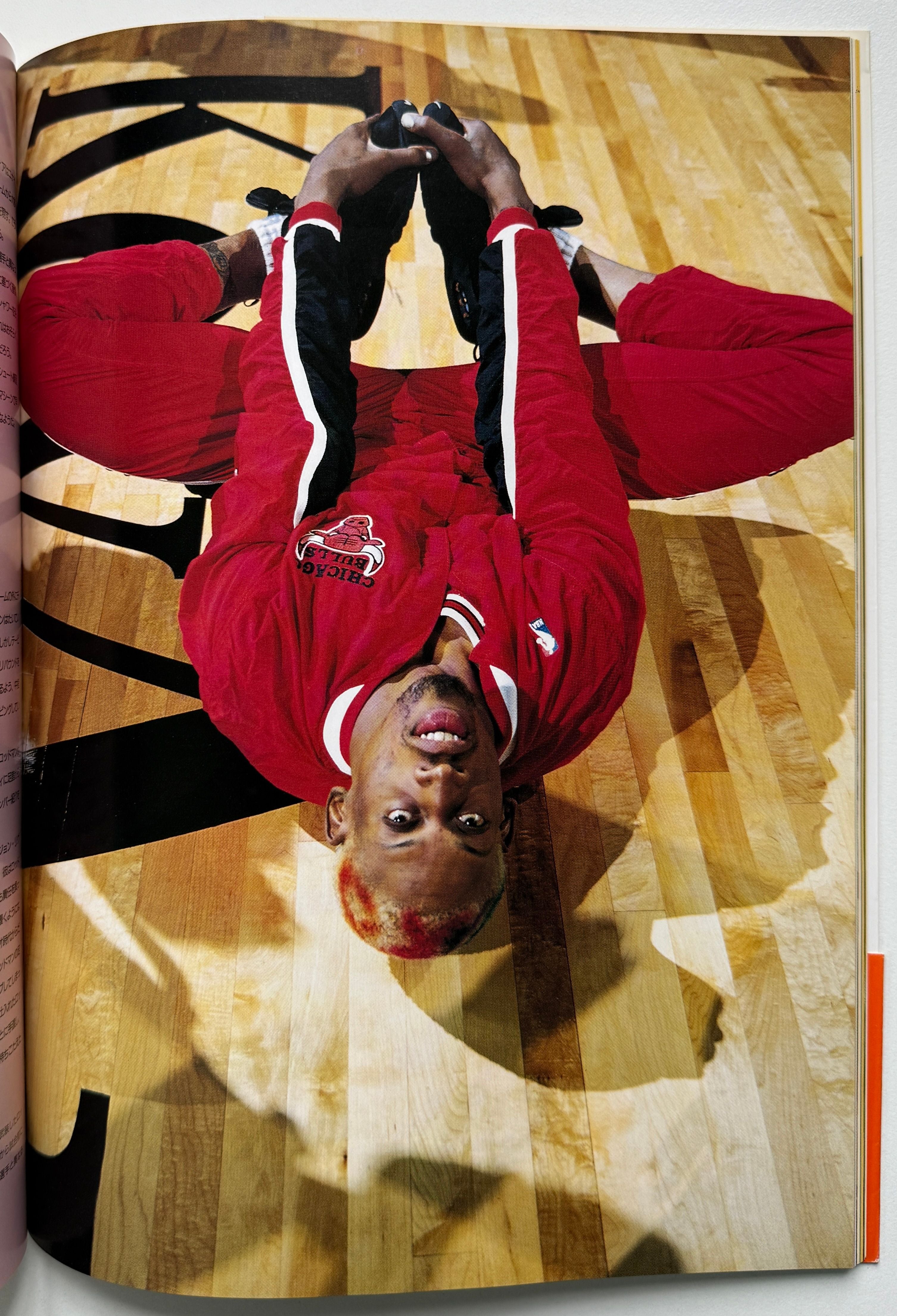 Dennis Rodman Profile Book