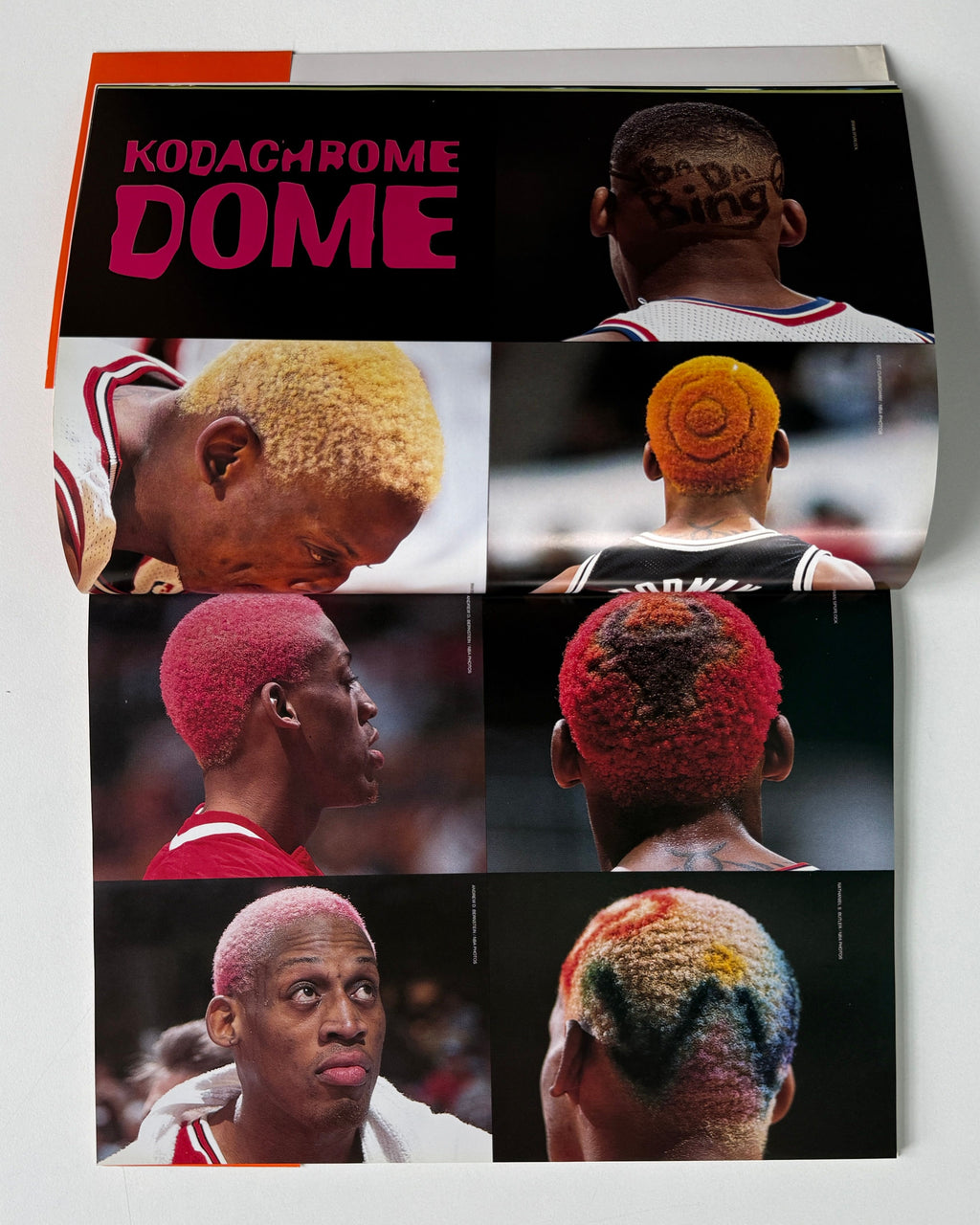 Dennis Rodman Profile Book