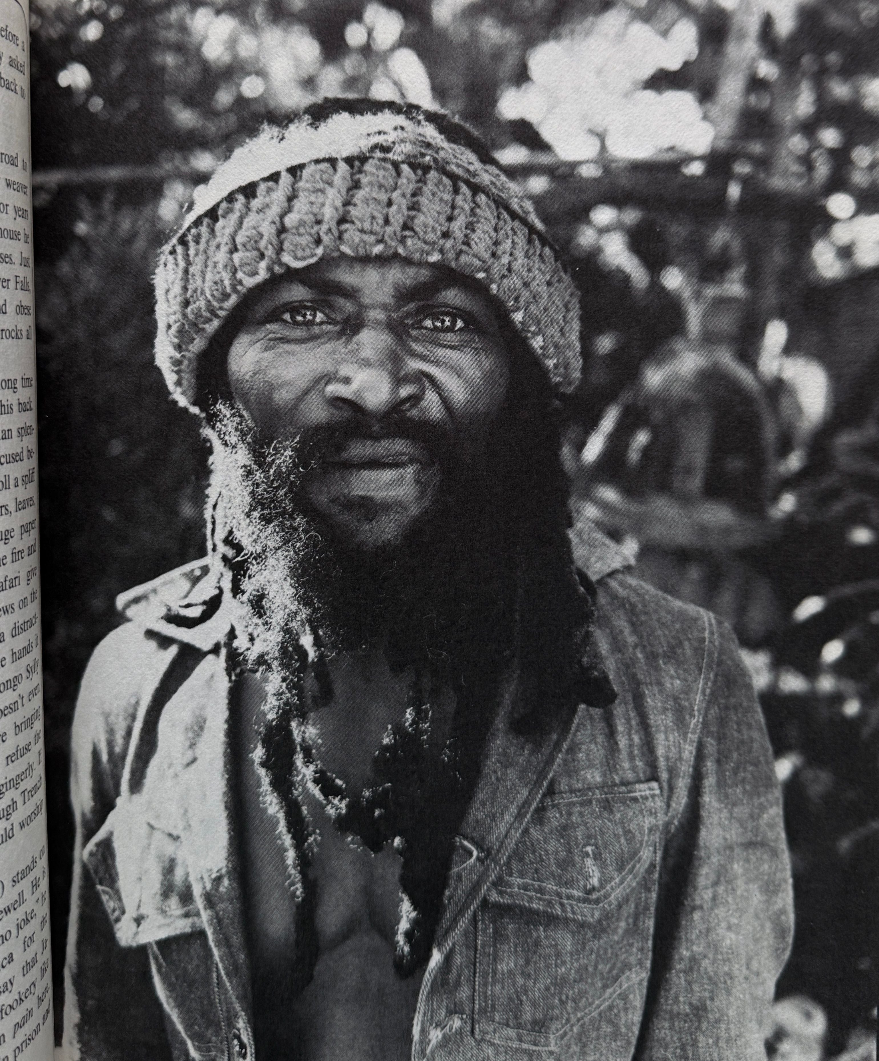 Reggae Bloodines