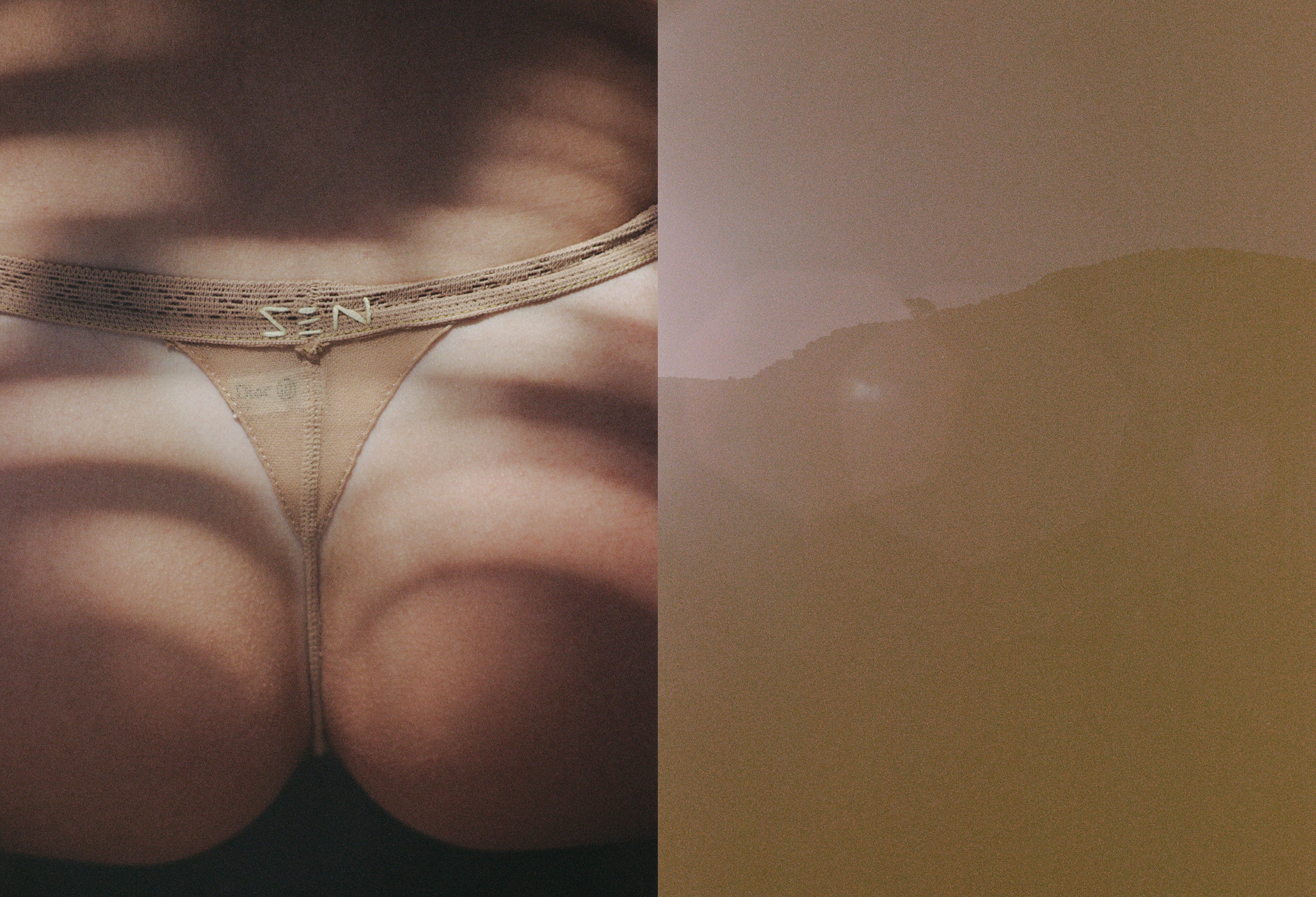 Purienne Zen