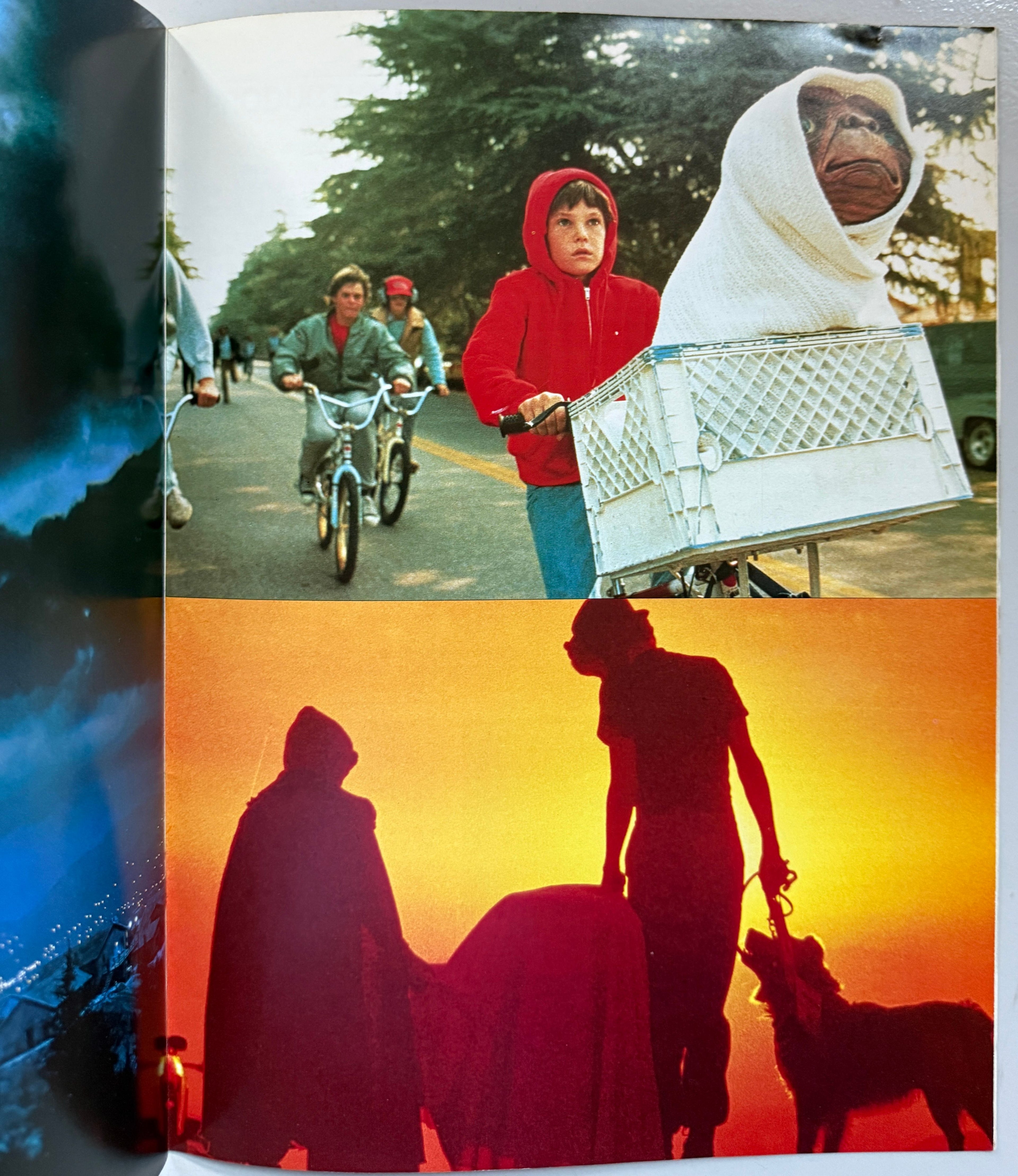 E.T Film Programme