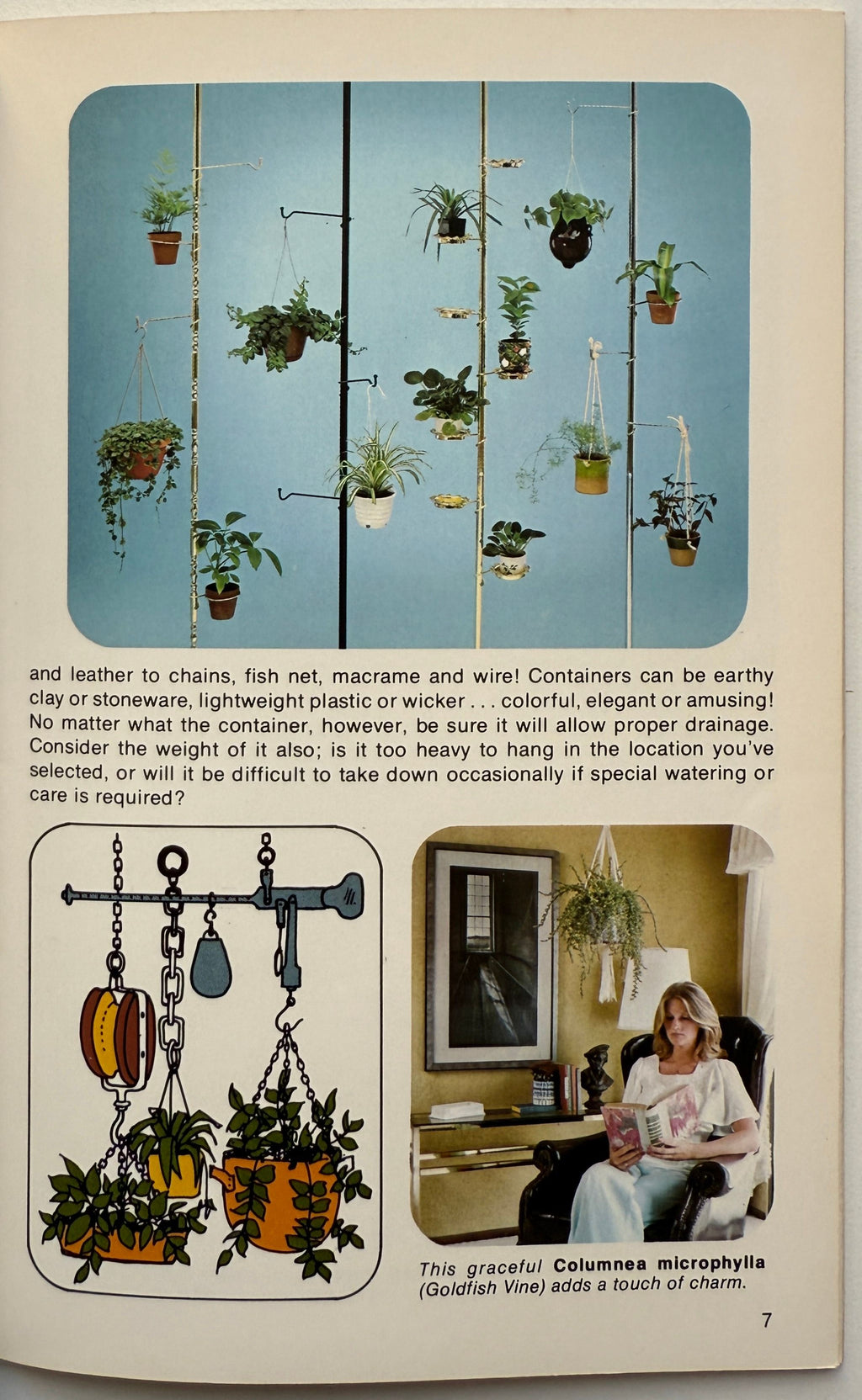 Living With Hanging Plants