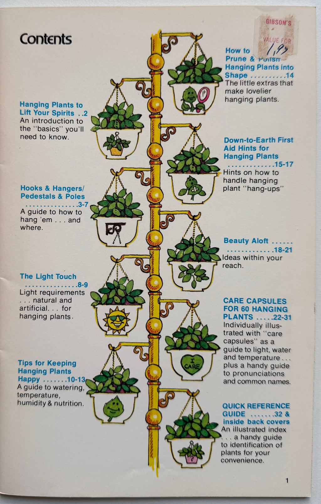 Living With Hanging Plants