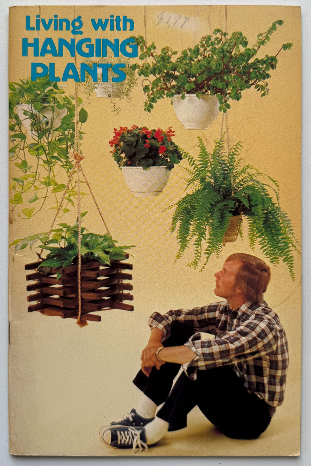 Living With Hanging Plants