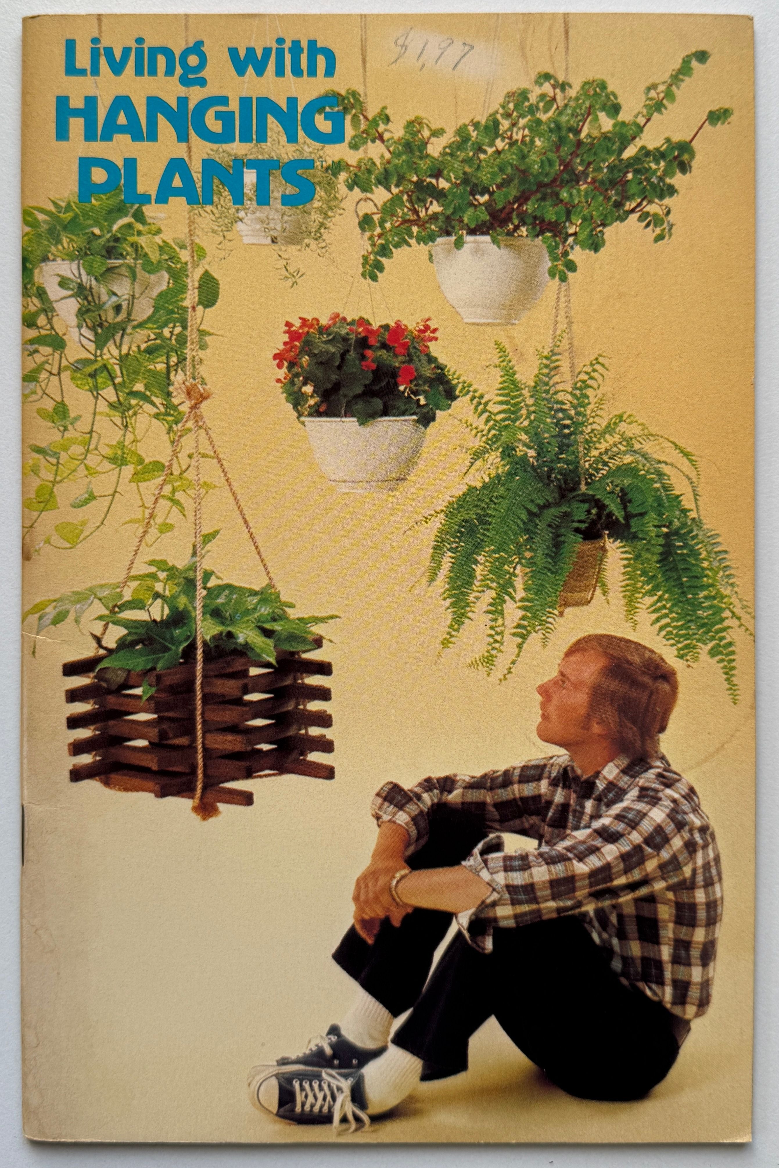 Living With Hanging Plants