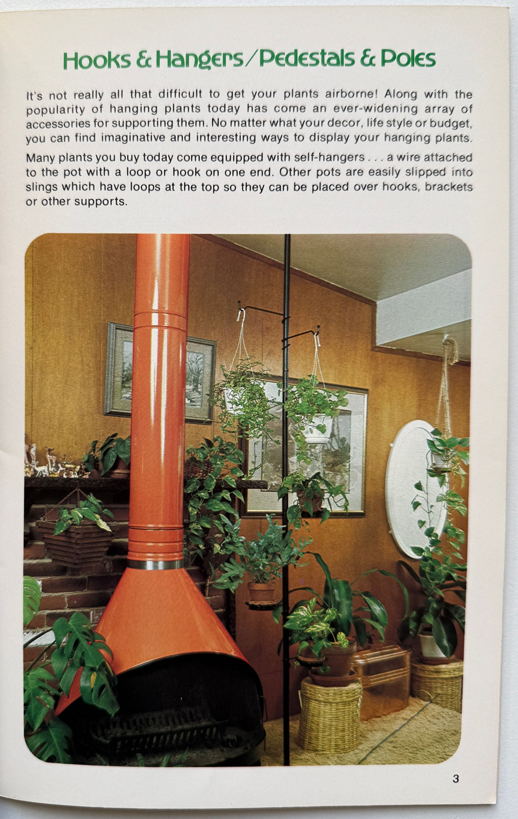 Living With Hanging Plants