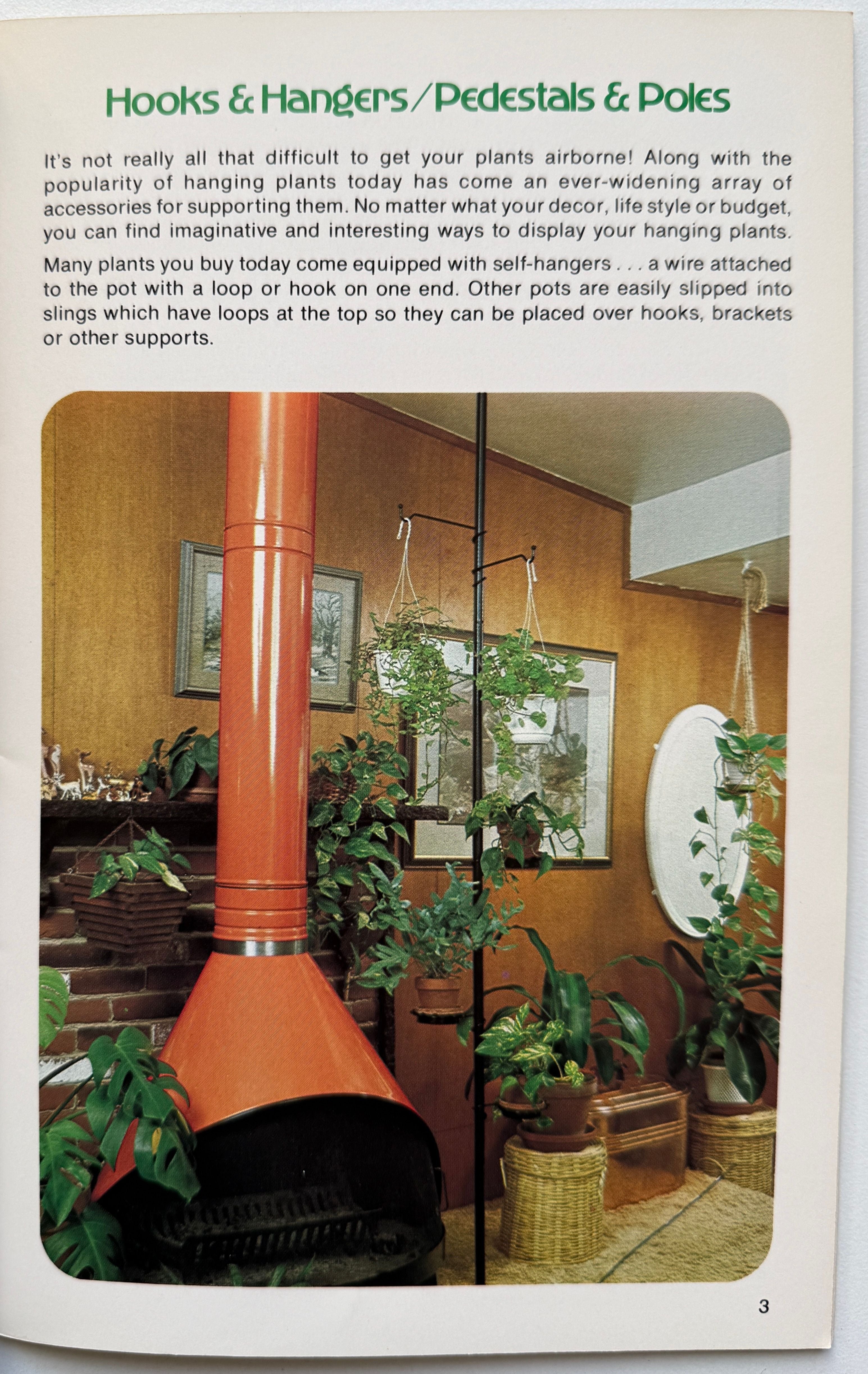 Living With Hanging Plants