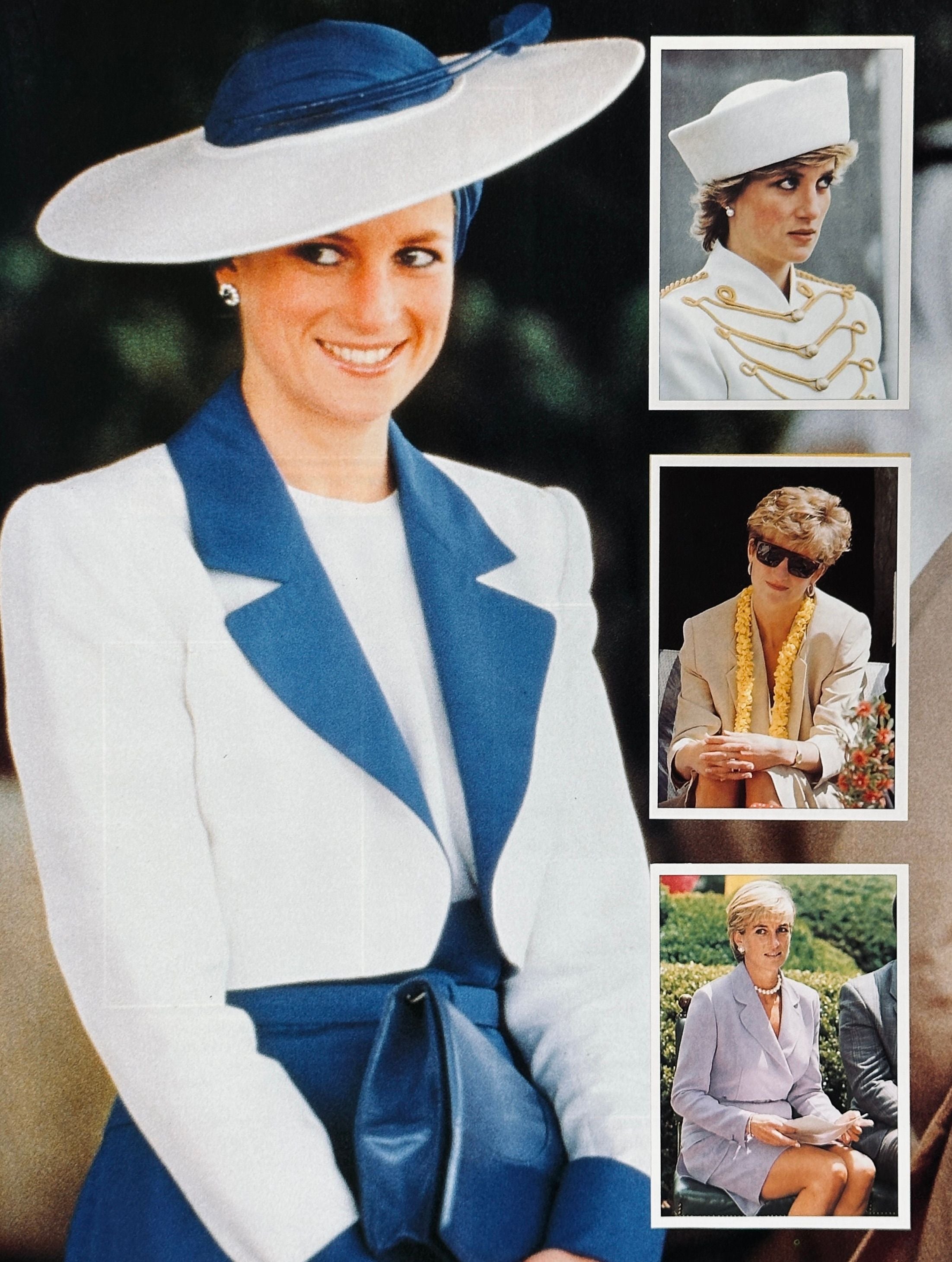 Diana Panini Sticker Collection