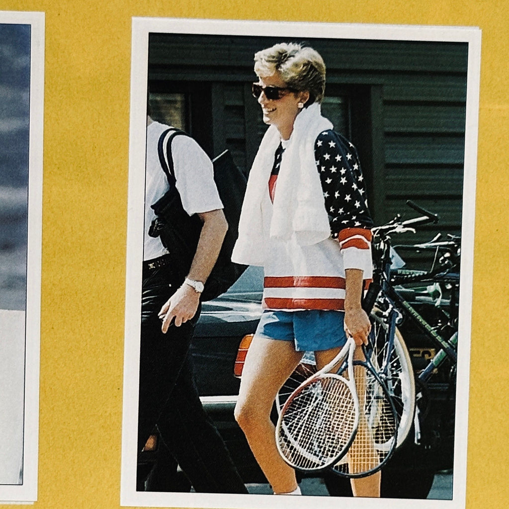 Diana Panini Sticker Collection